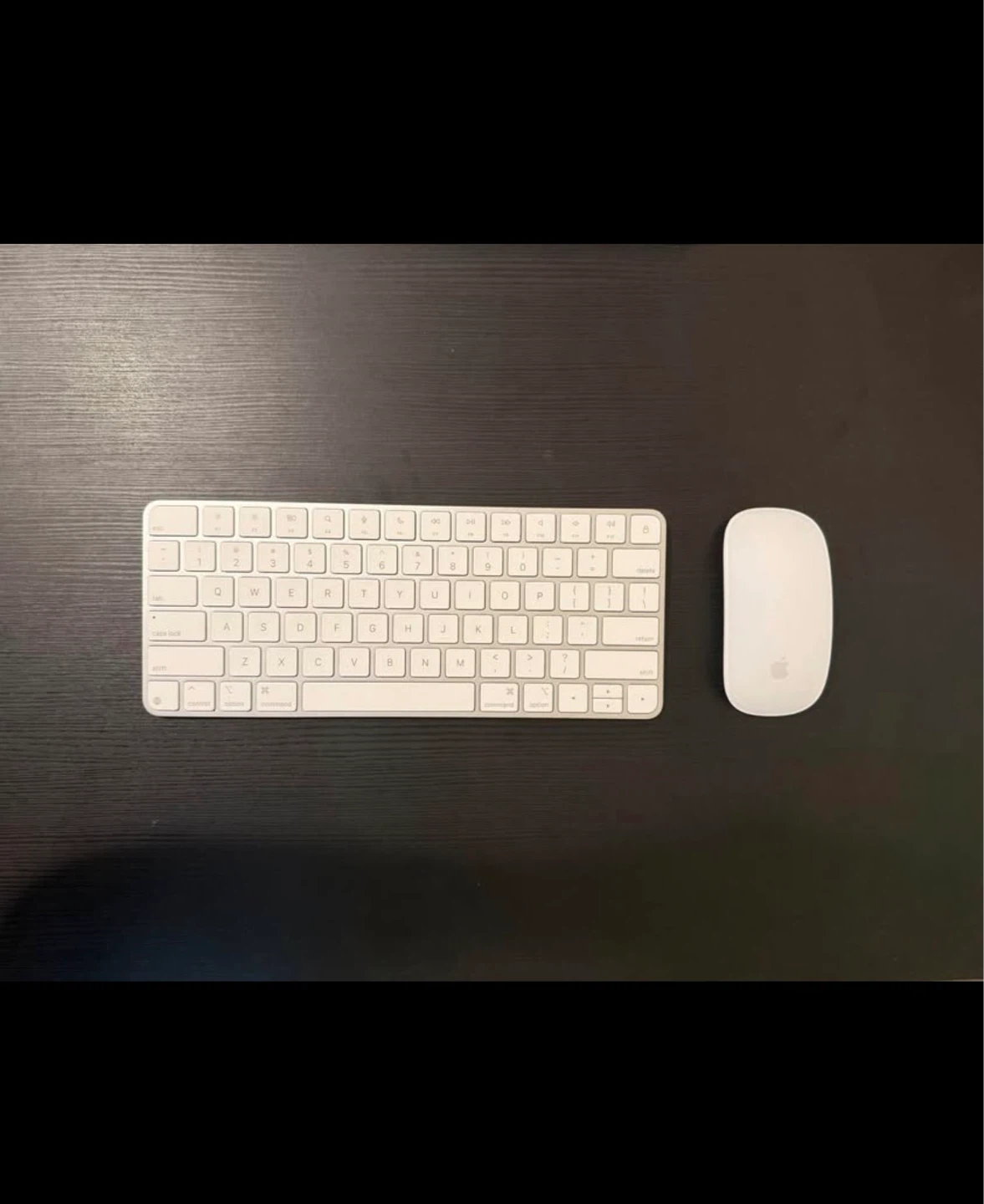 Apple Magic Keyboard and Mouse
