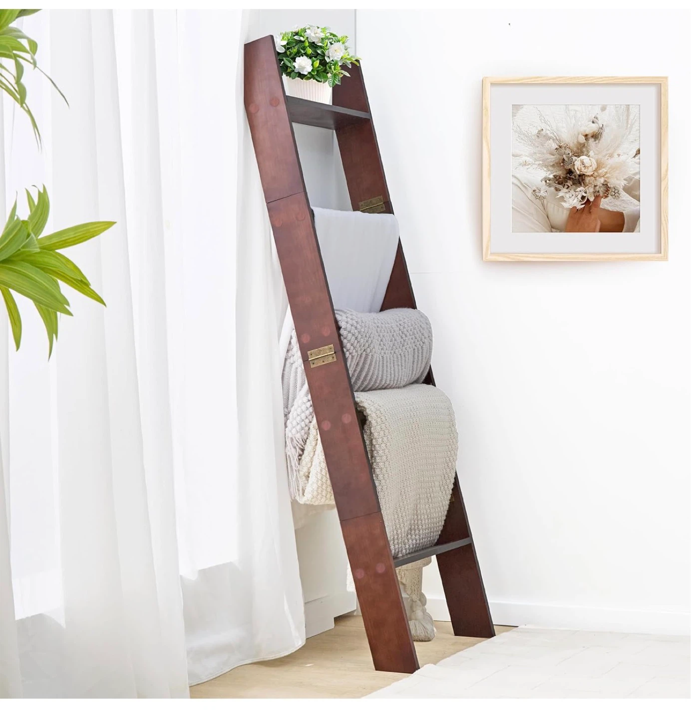 Ladder Shelf