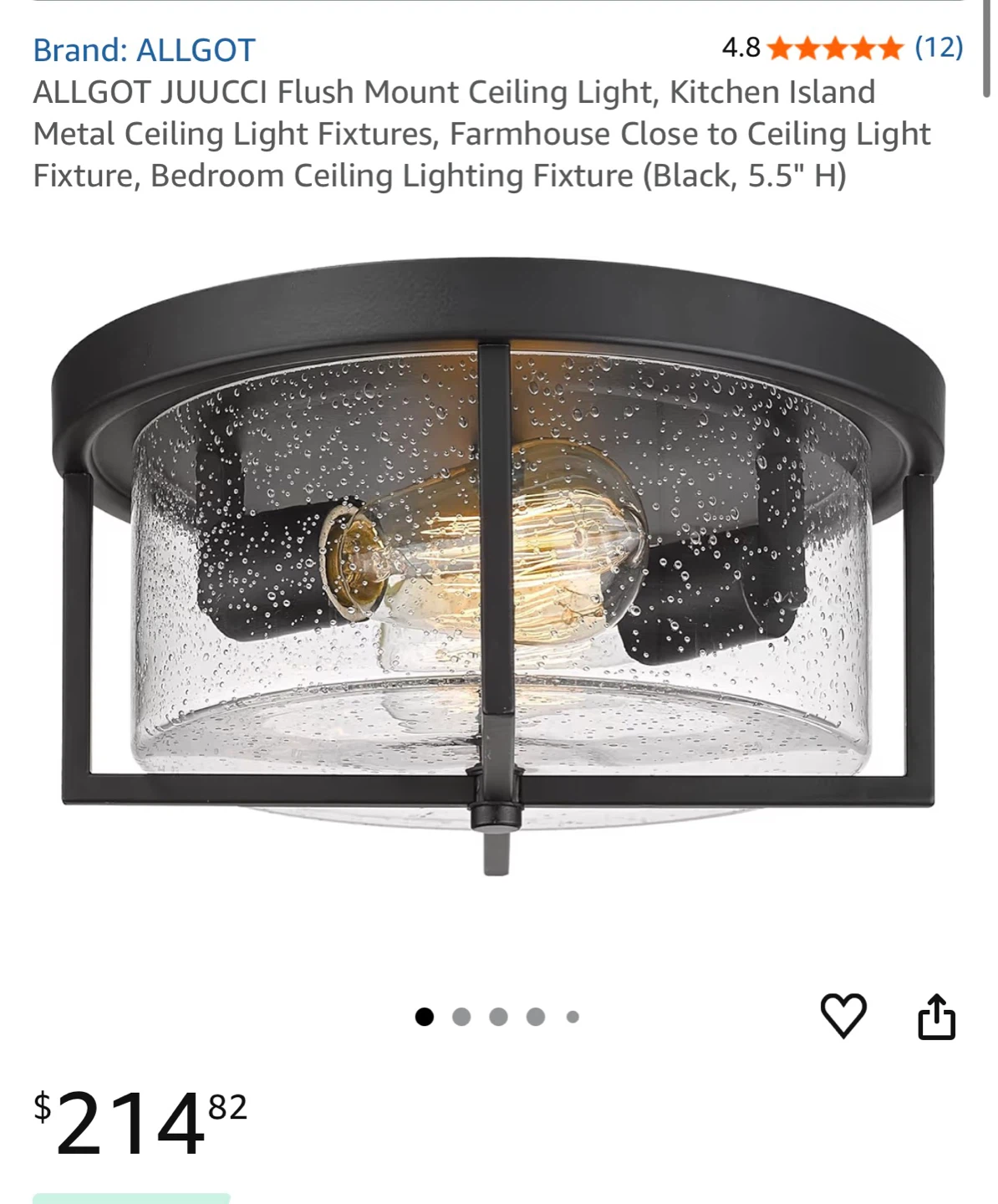 Flush Mount Ceiling Light Fixture - Black