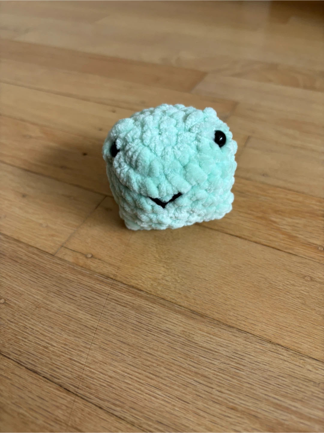 Handmade Crochet Frog Plushie