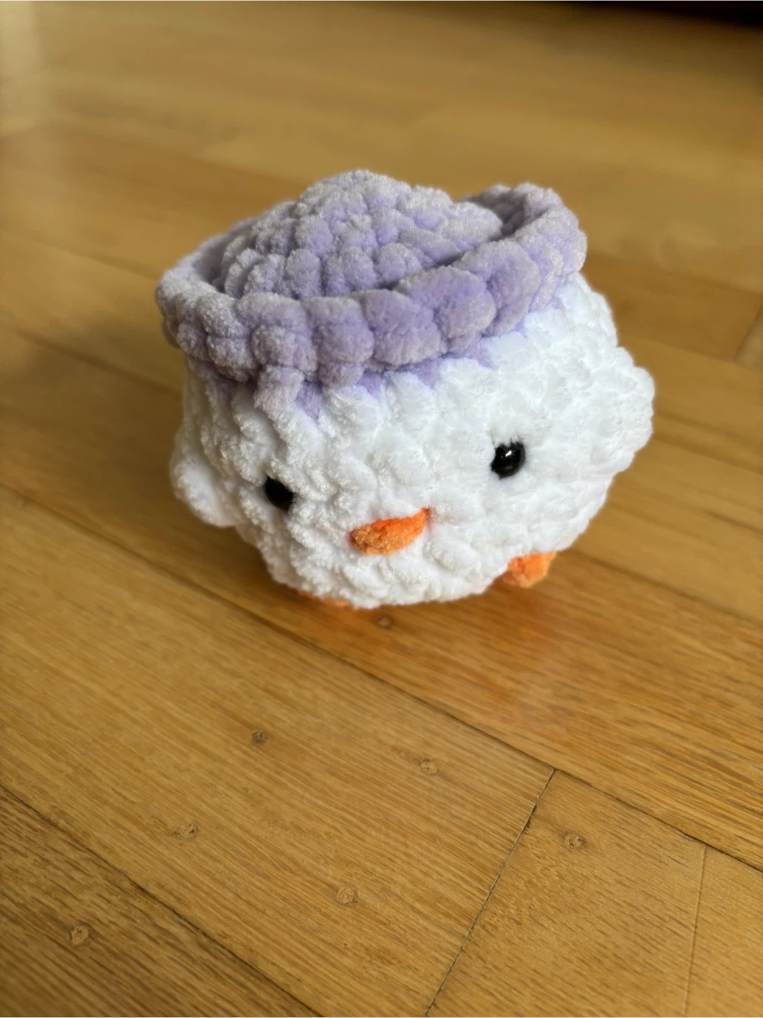 Chicks with hats - photo 3