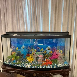 Bowfront Aquarium with Decorative Fish Tank Accessories