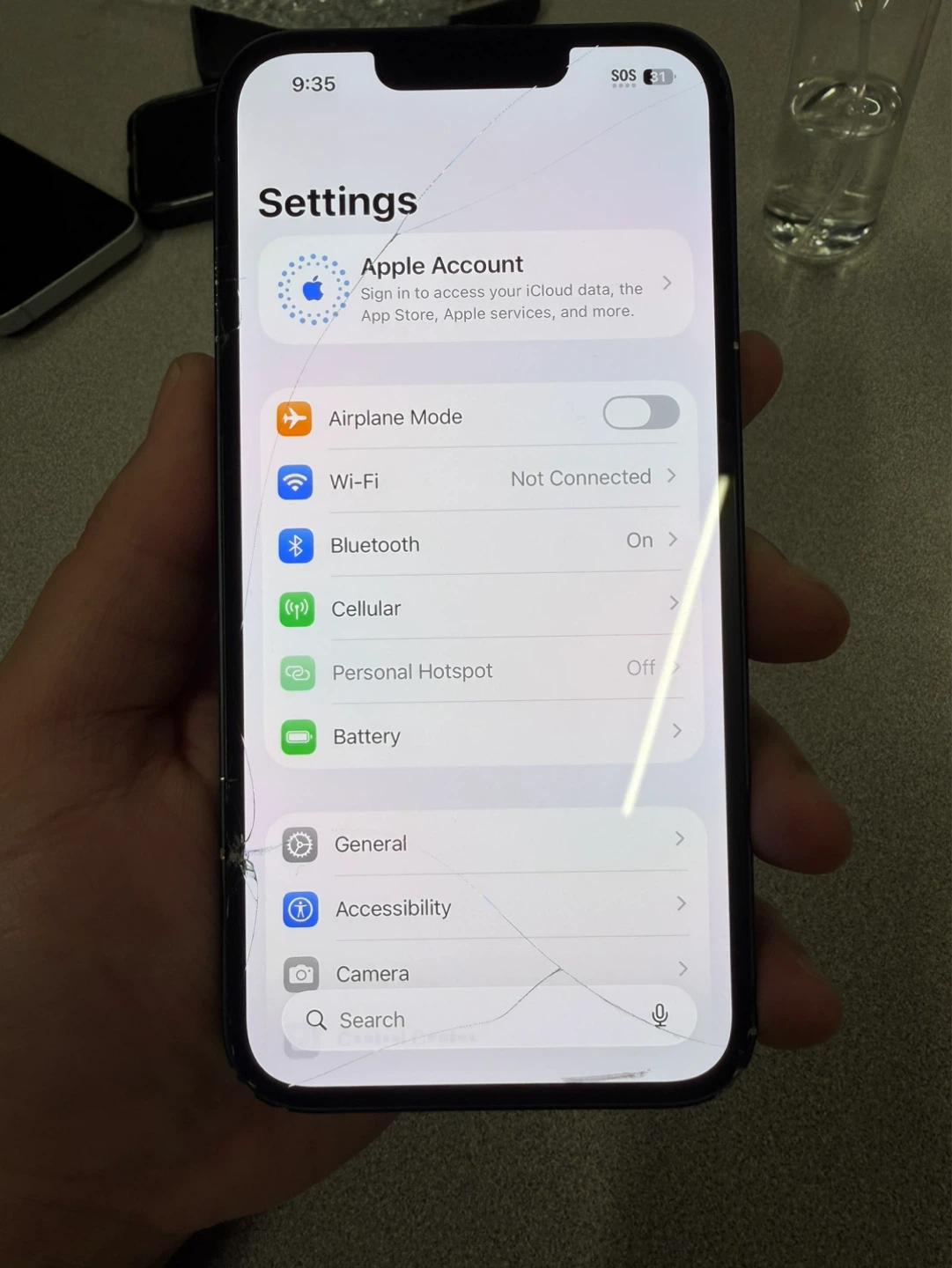 iPhone 13