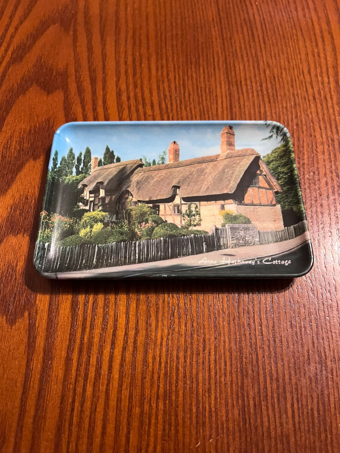 VINTAGE MELAMINE TRAYS & HOT MAT - photo 5