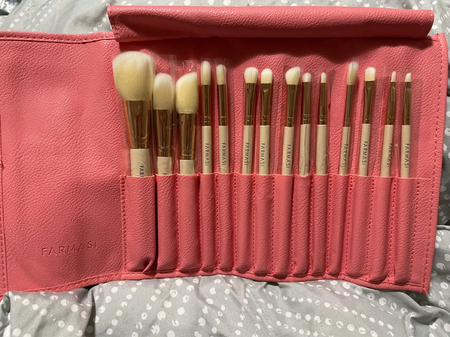 Farmasi Makeup Brush Set with Pink Case