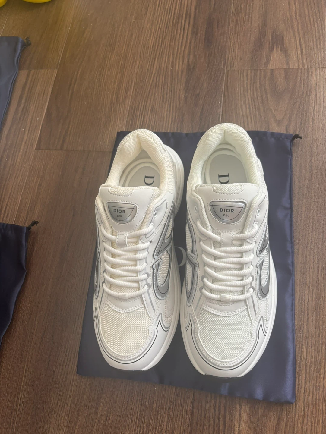 DIOR B30 Sneakers White/Silver