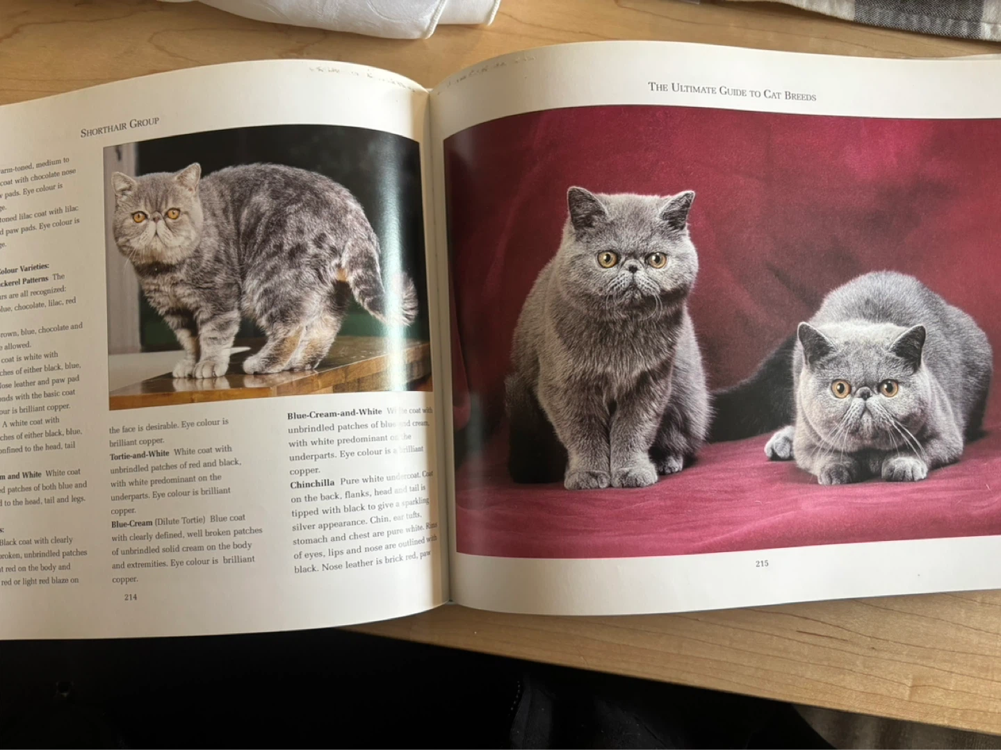 The Ultimate Guide to Cat Breeds Book by Louisa Somerville - photo 5