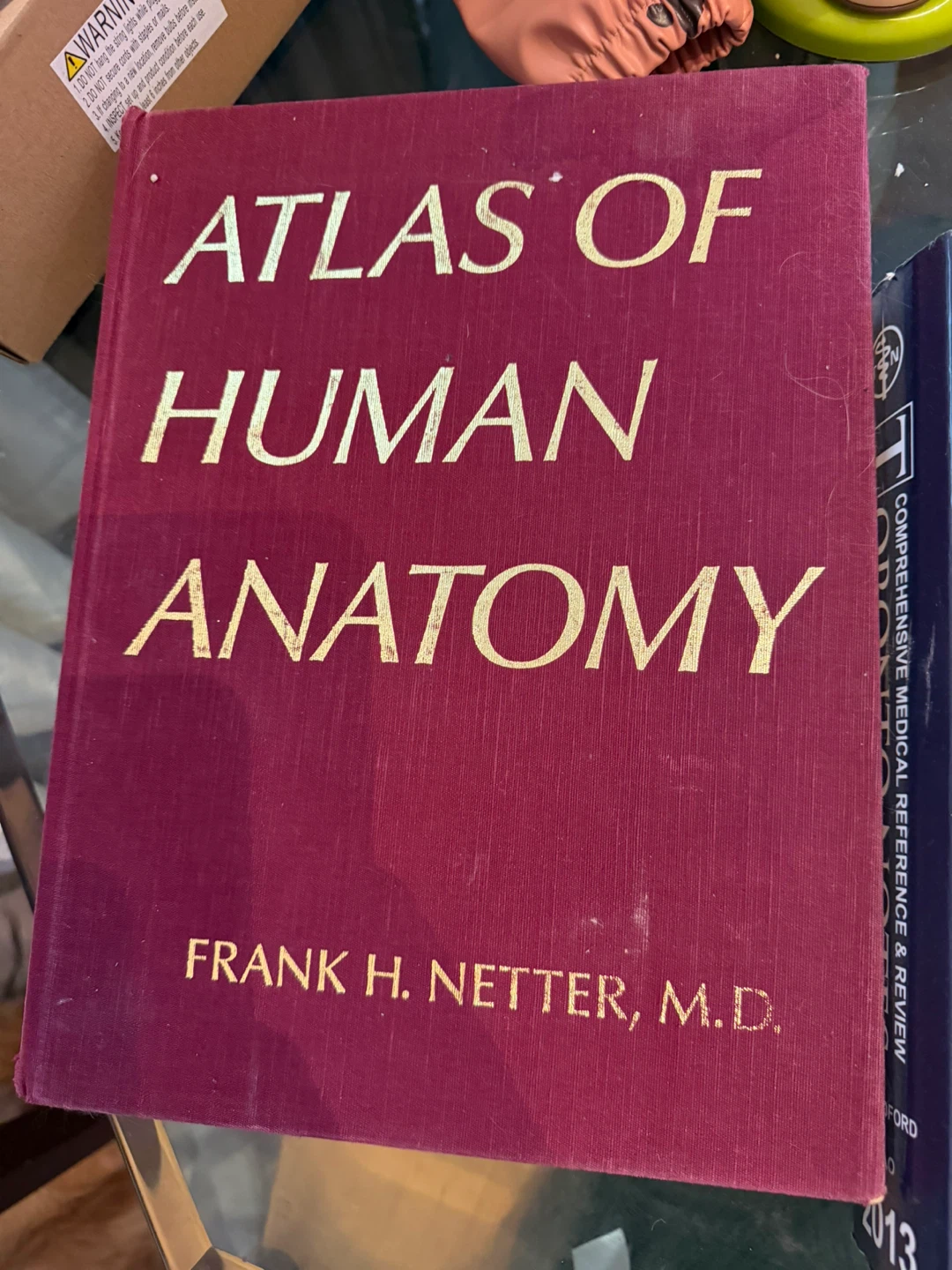 Atlas of Human Anatomy by Frank H. Netter, M.D.