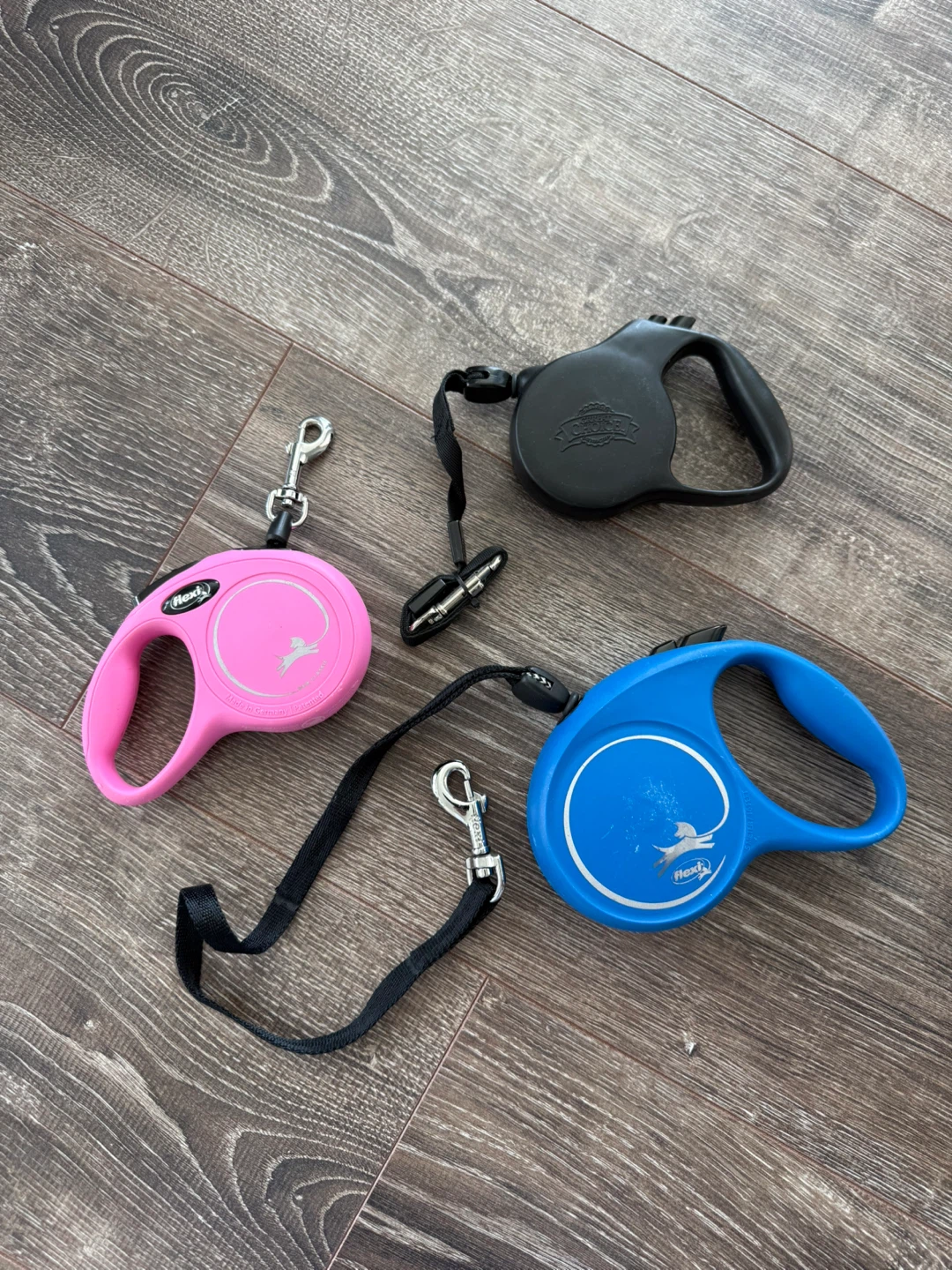 Retractable Dog Leashes ($3 each)