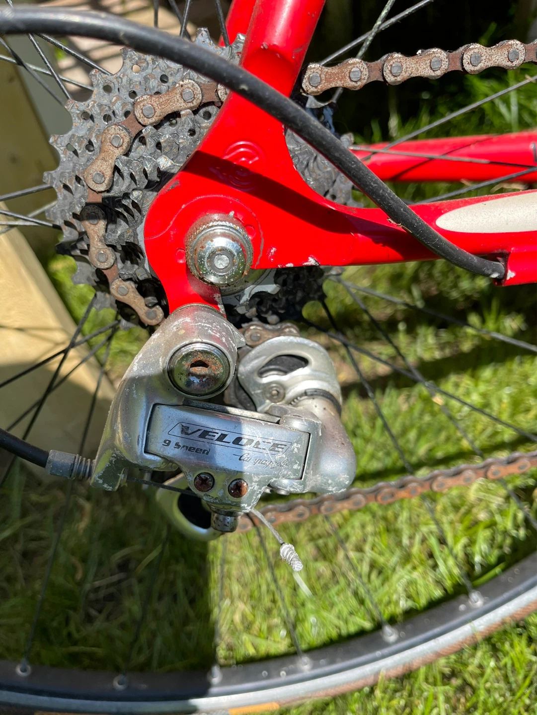 Cinelli unica 56cm - photo 5