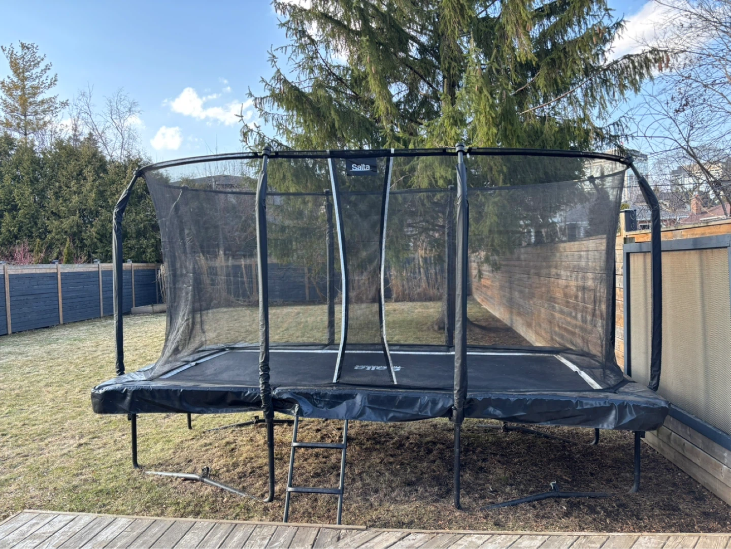 Salta First Class Trampoline with Safety Net