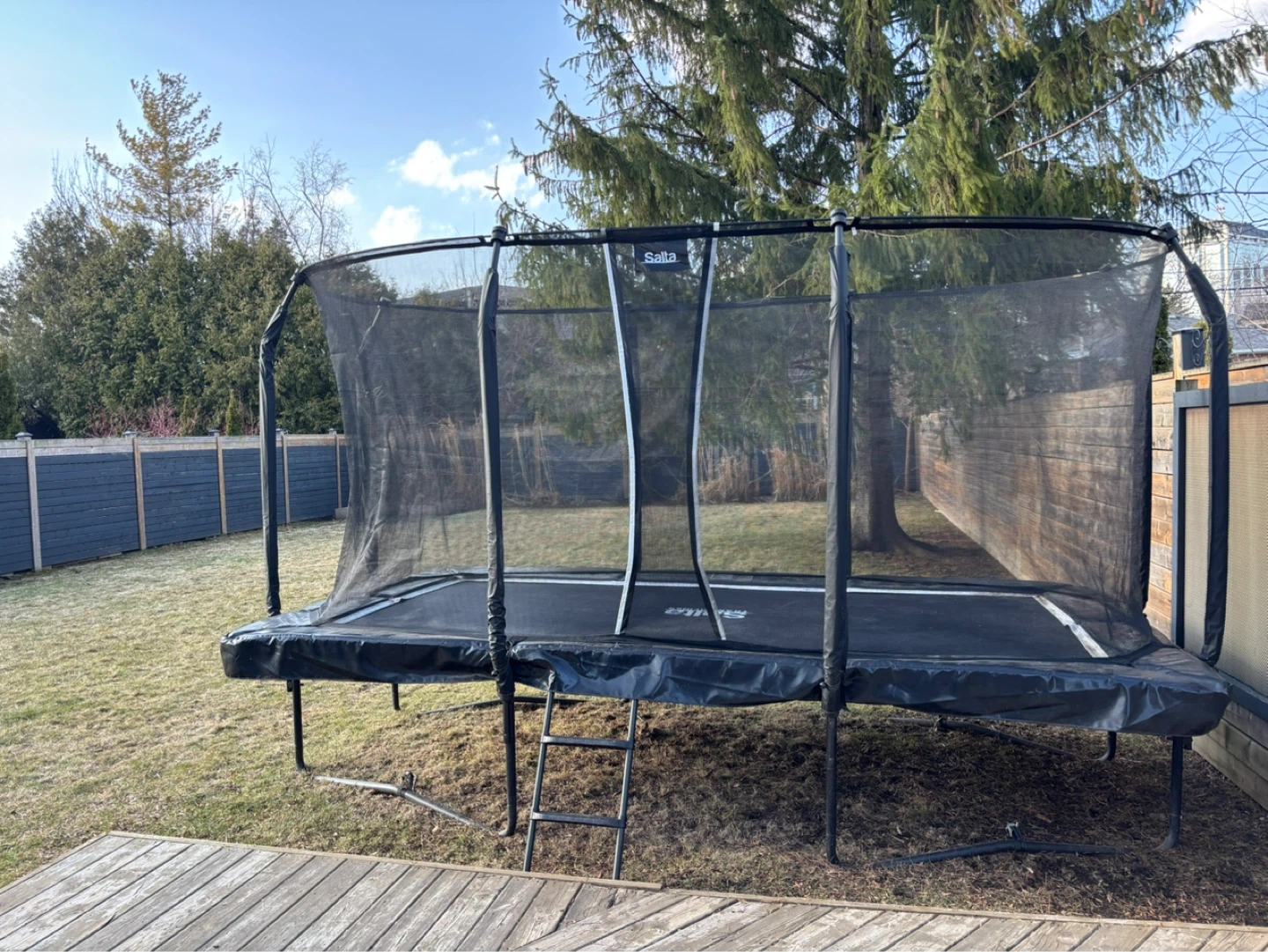 Salta First Class Trampoline with Safety Net - photo 2