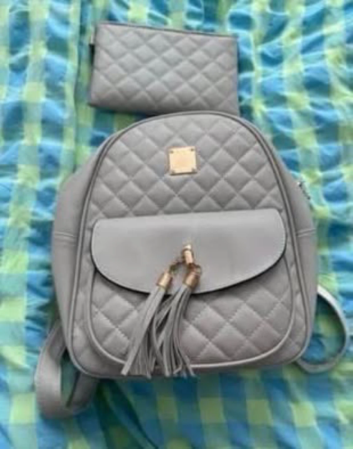 Bag and wallet (New) (FREE)