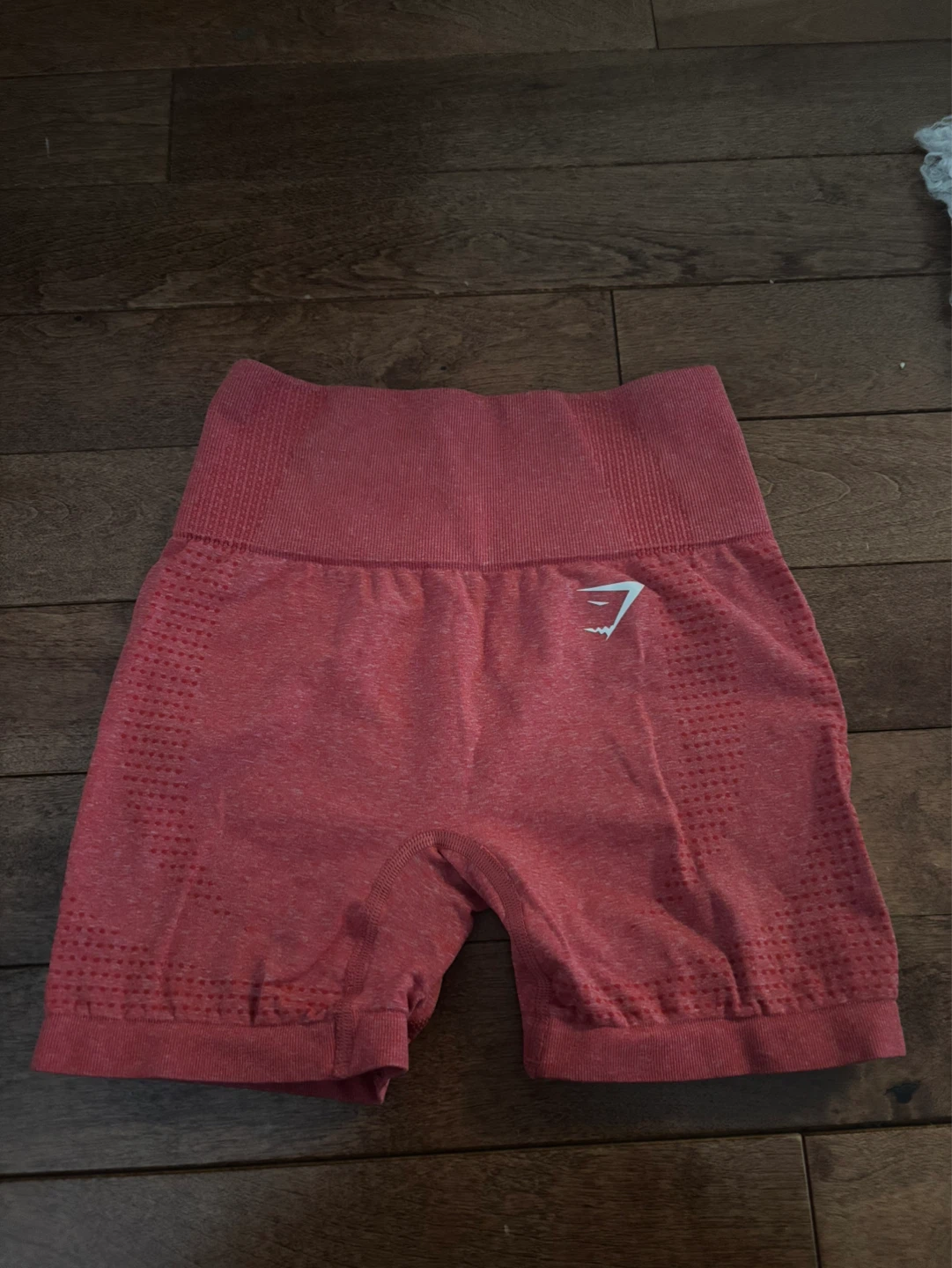 Gymshark Women's Shorts XS