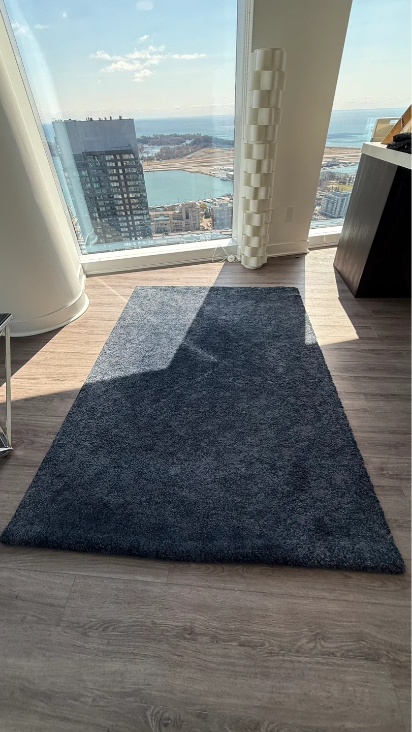 🚨 MOVE OUT SALE!!!‼️ Area Rug, Charcoal w/ Blue Tone - photo 4