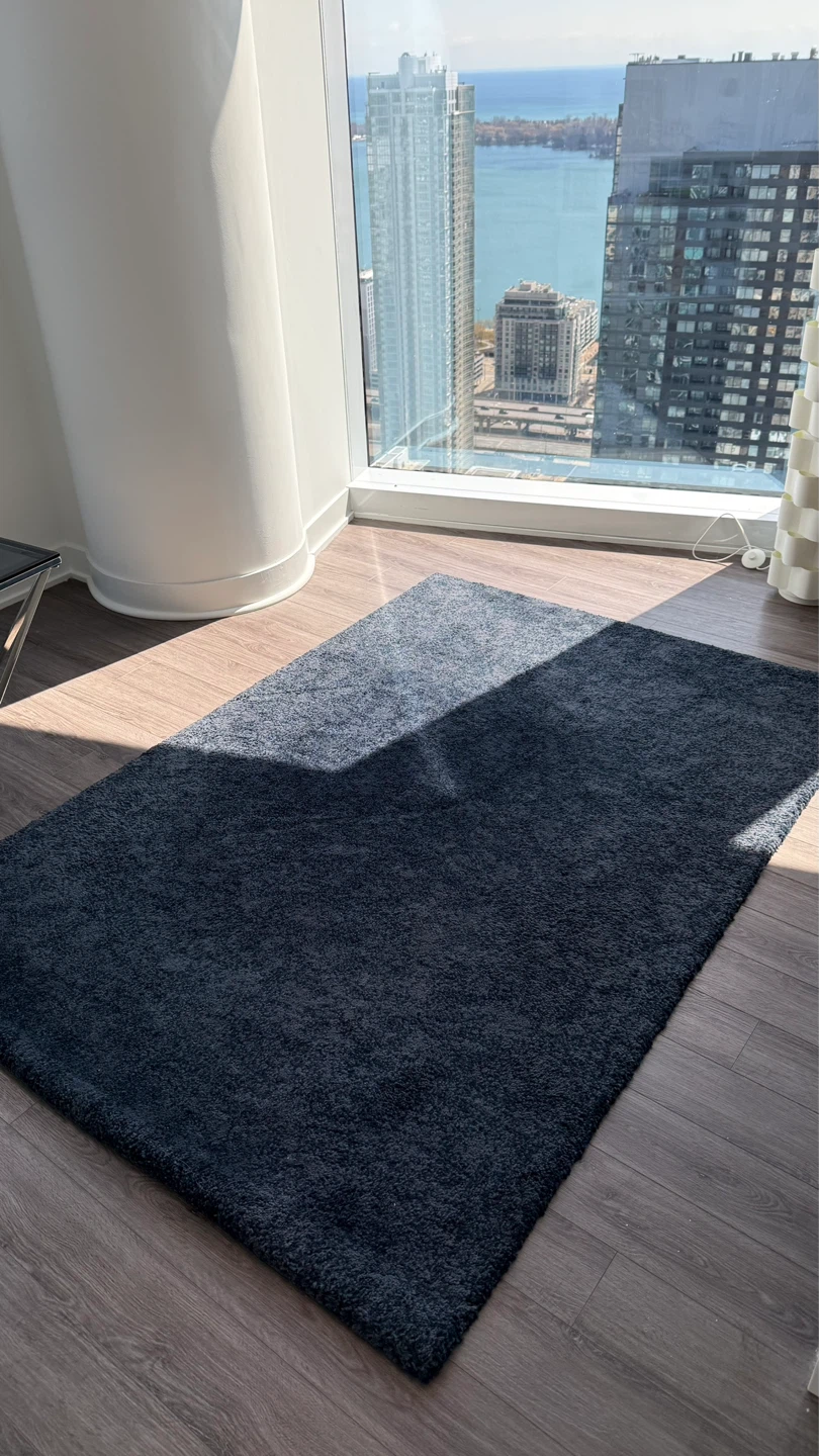 🚨 MOVE OUT SALE!!!‼️ Area Rug, Charcoal w/ Blue Tone