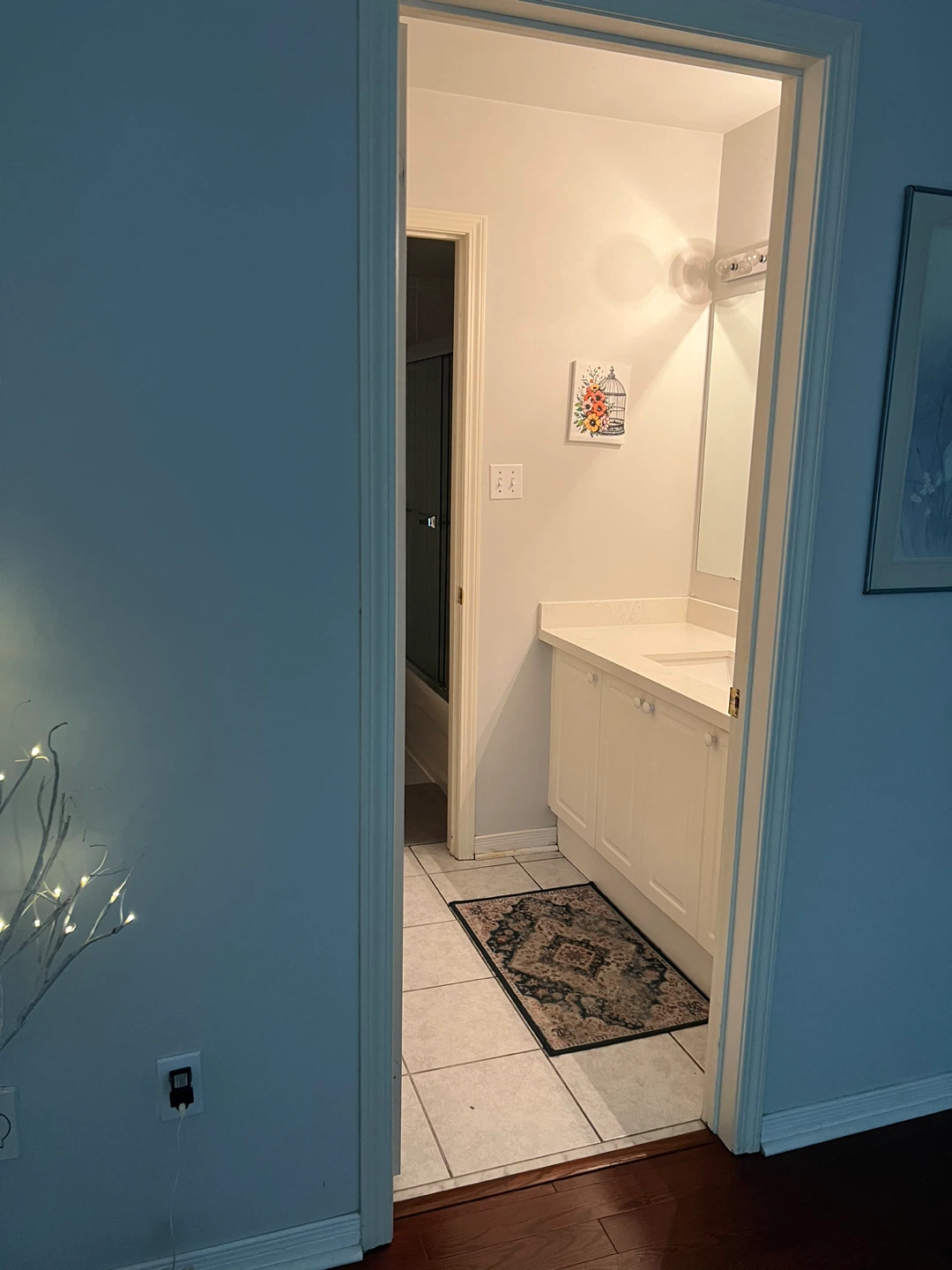 Rentals - photo 3