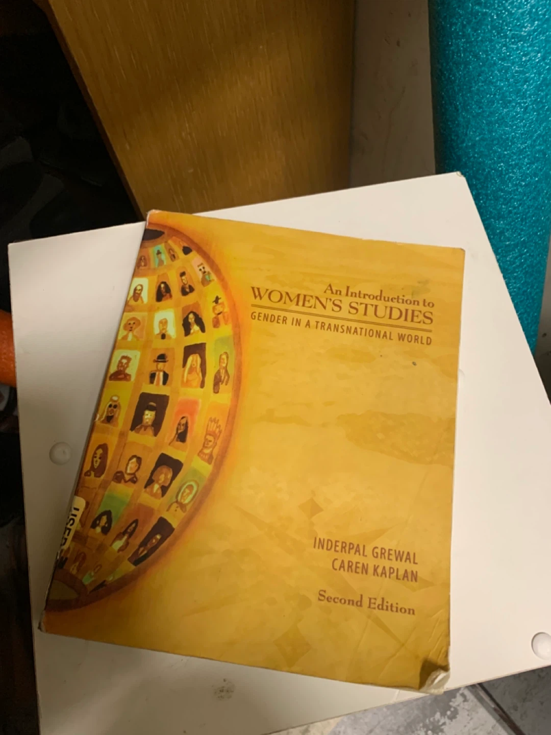 An Introduction to Women's Studies: Gender Transnational World