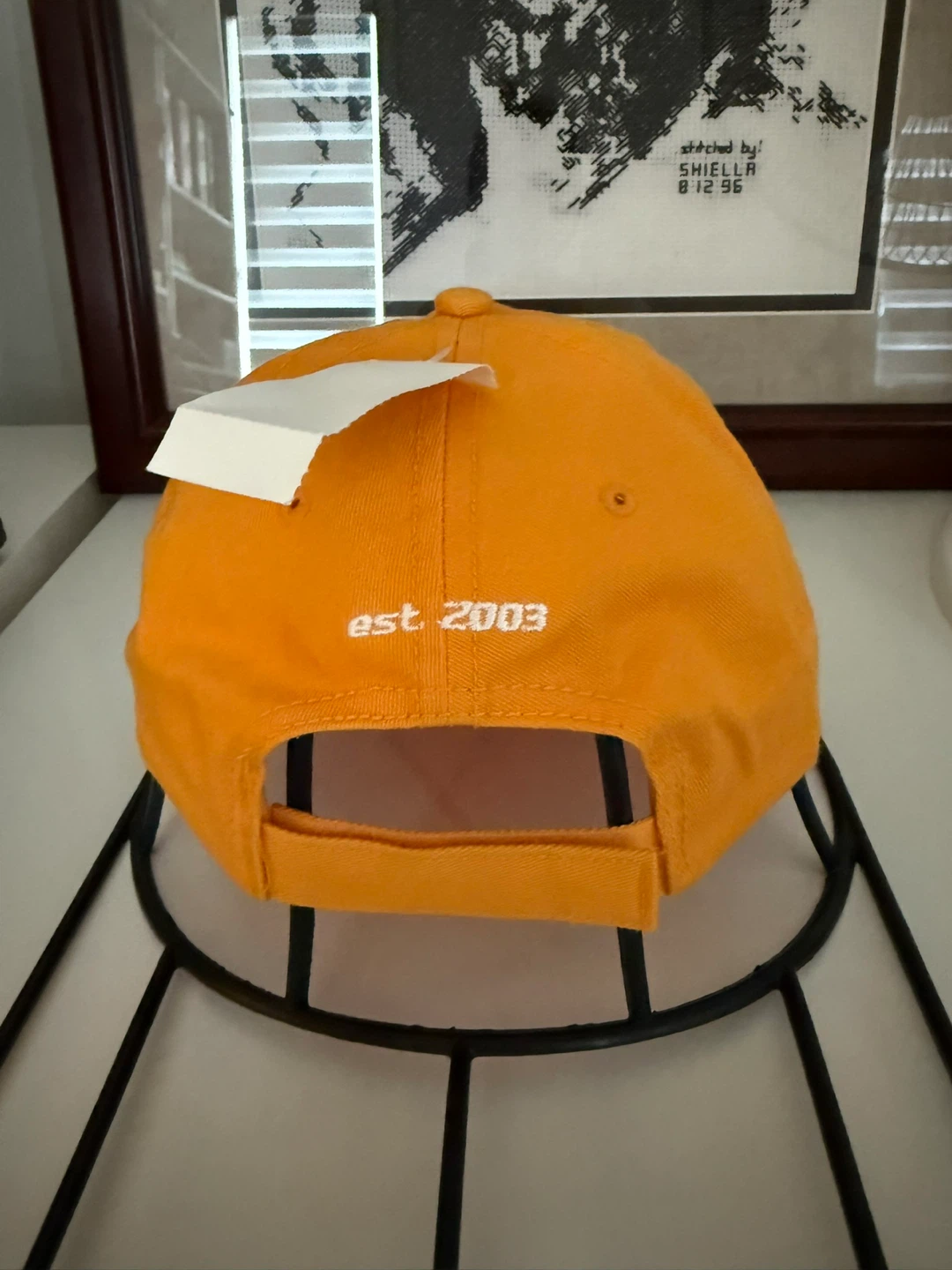 Silvertip CMH Heli-Skiing Baseball Cap - photo 2