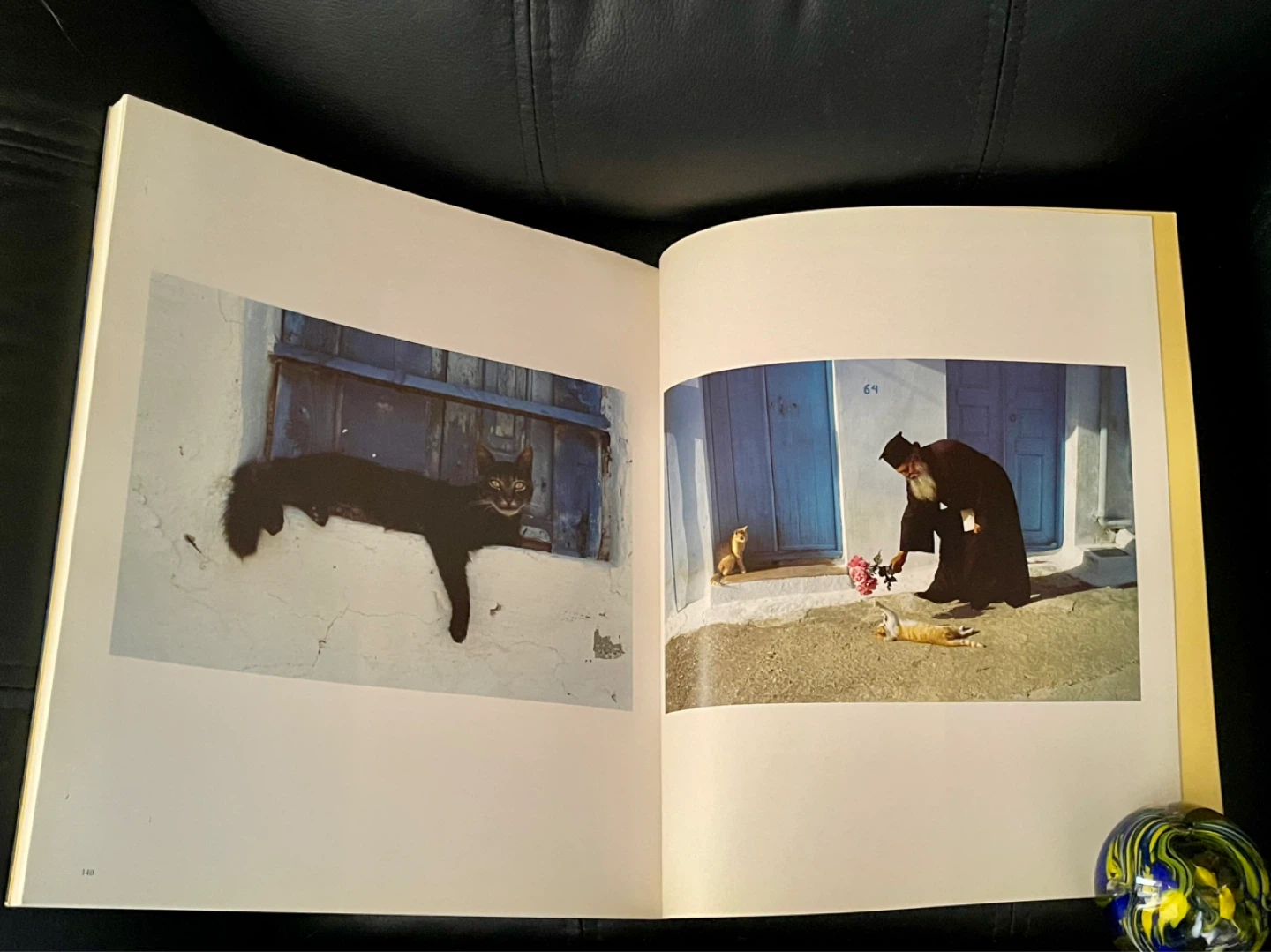 Cats in the Sun by Hans Silvester Book - photo 2