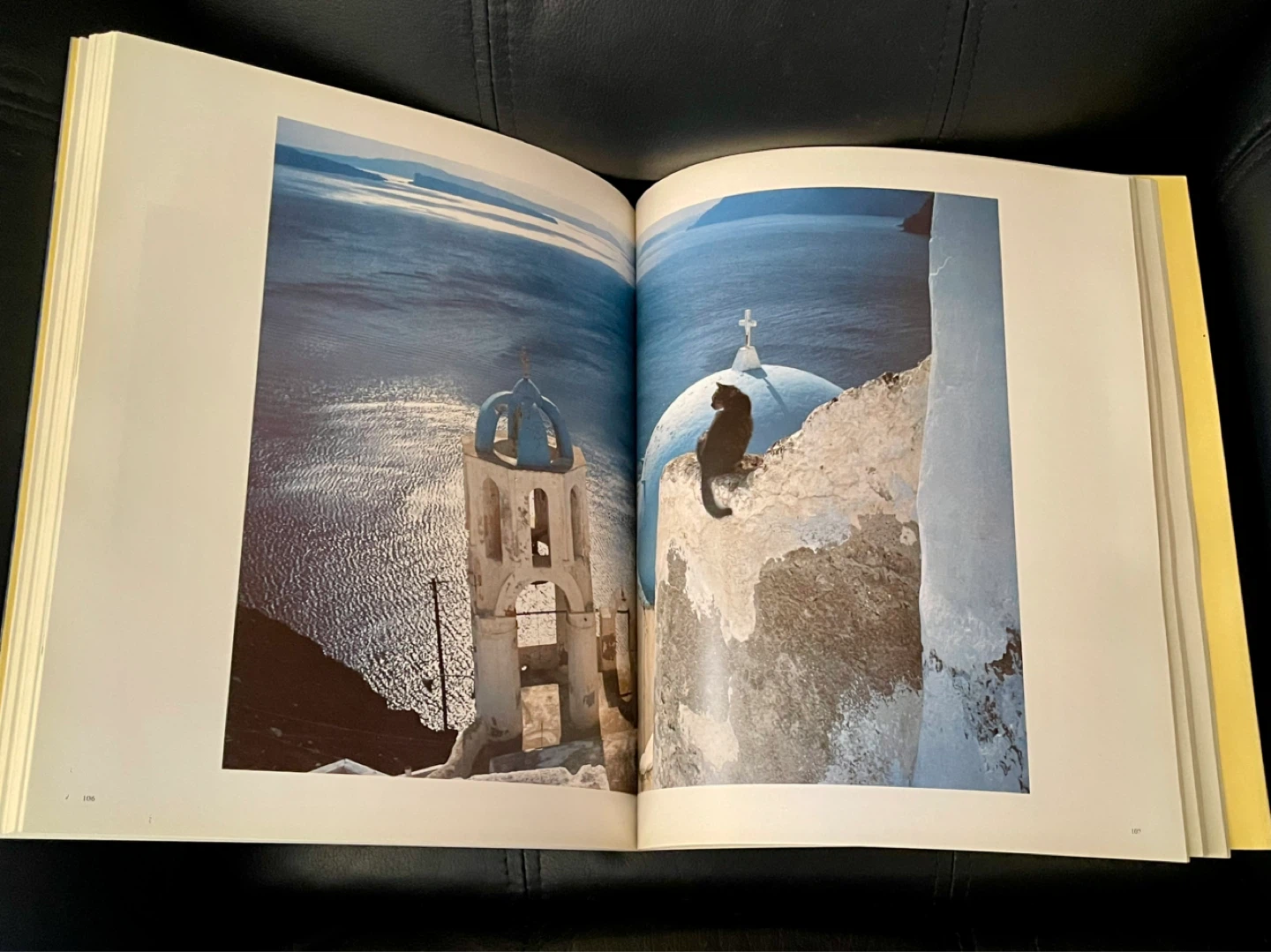 Cats in the Sun by Hans Silvester Book - photo 4