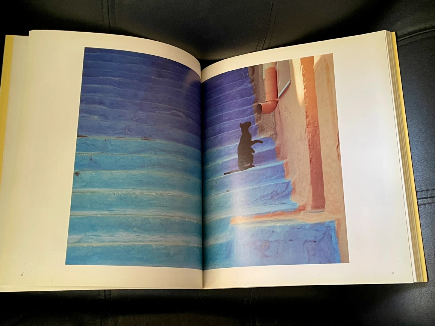 Cats in the Sun by Hans Silvester Book - photo 3