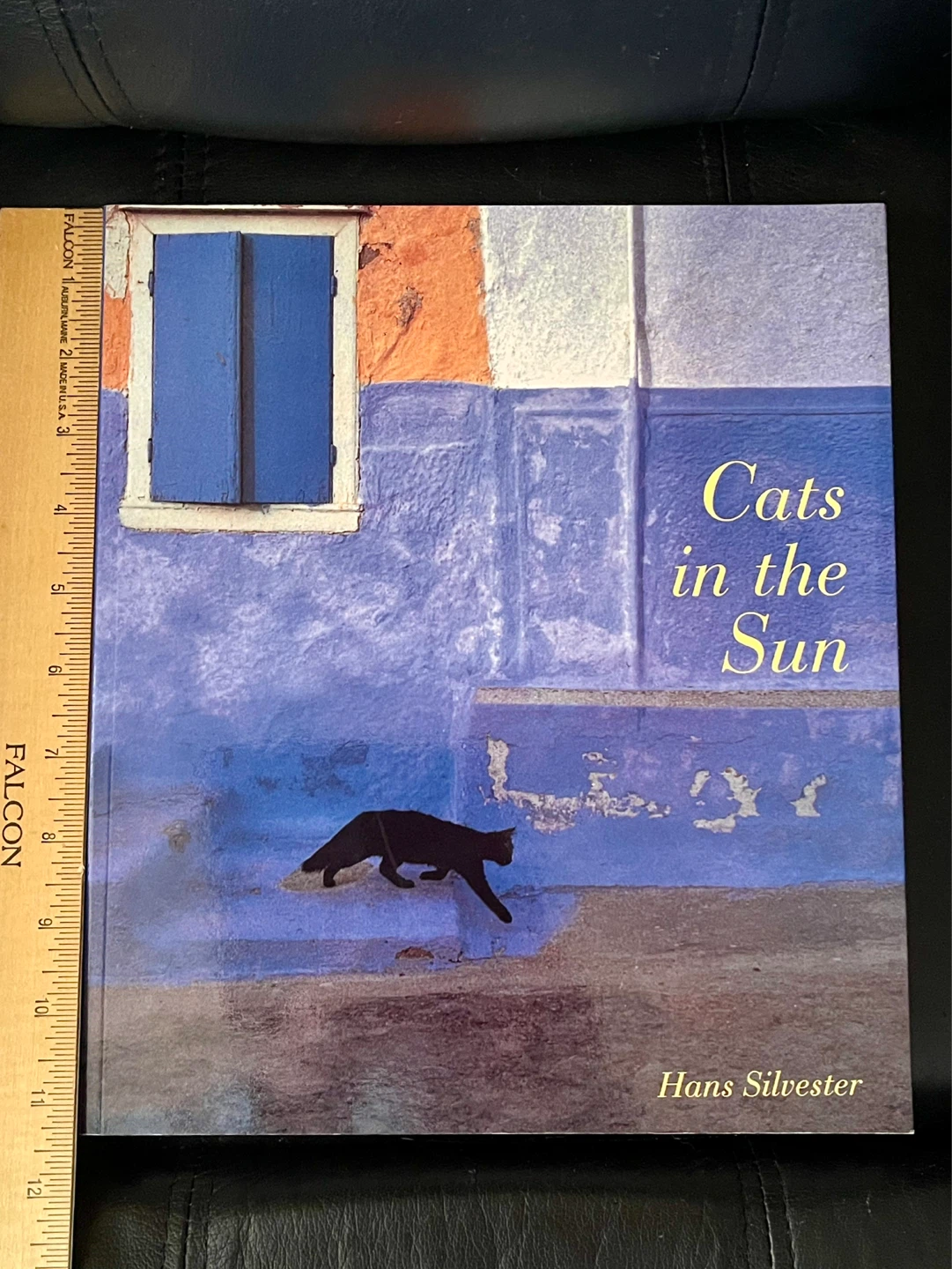 Cats in the Sun by Hans Silvester Book