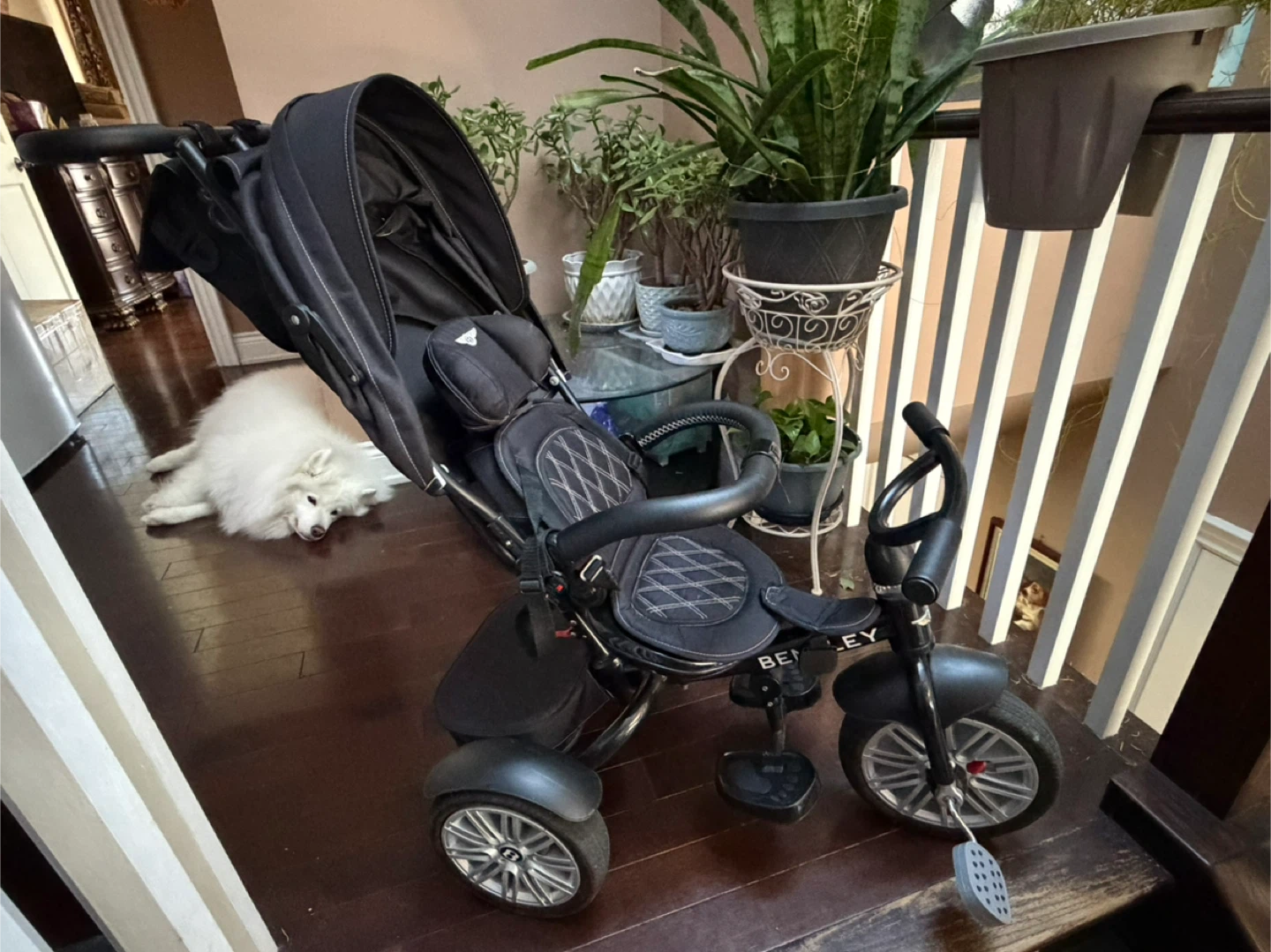 Bentley Trike Stroller