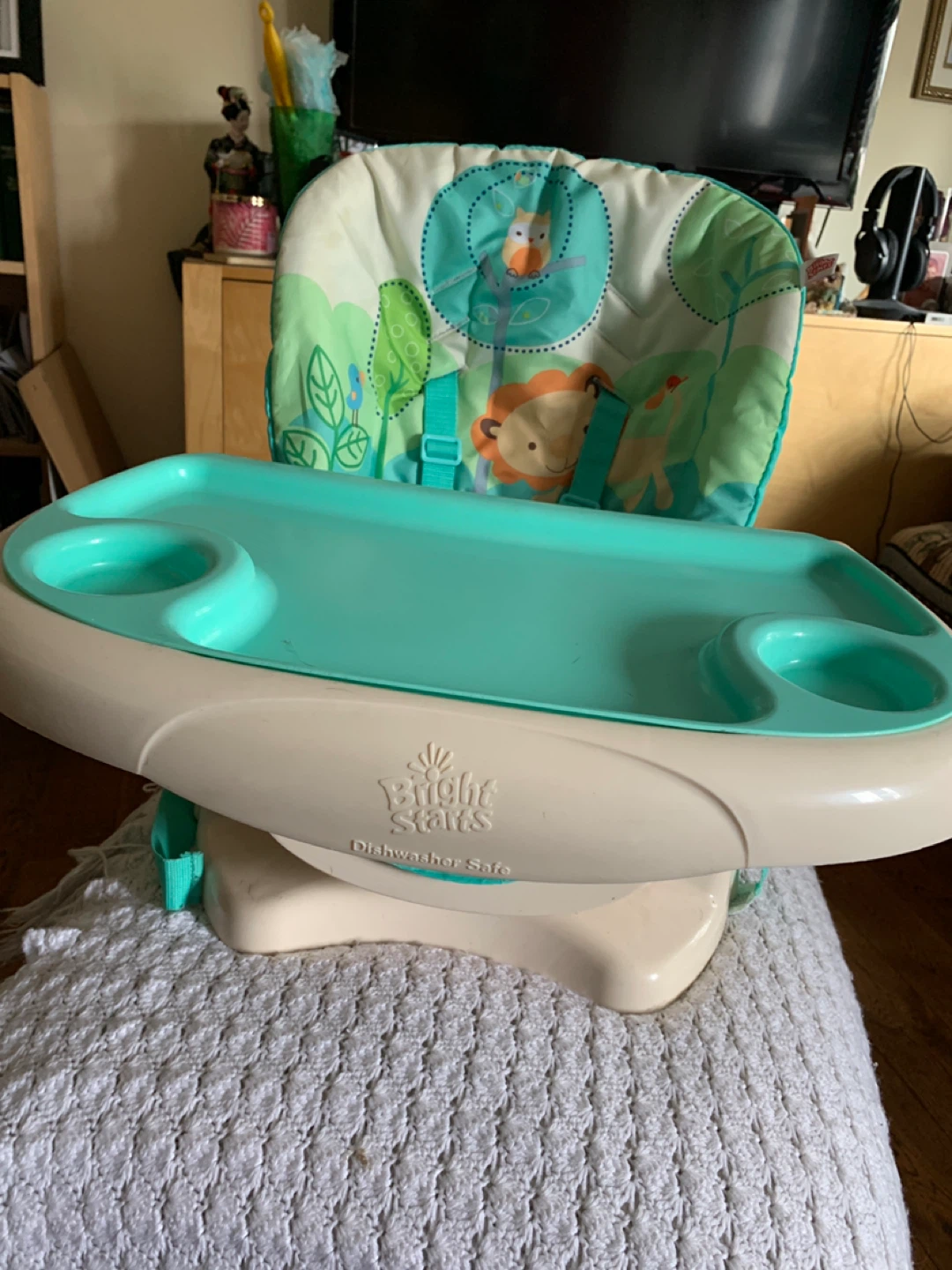 Bright Starts Booster Seat
