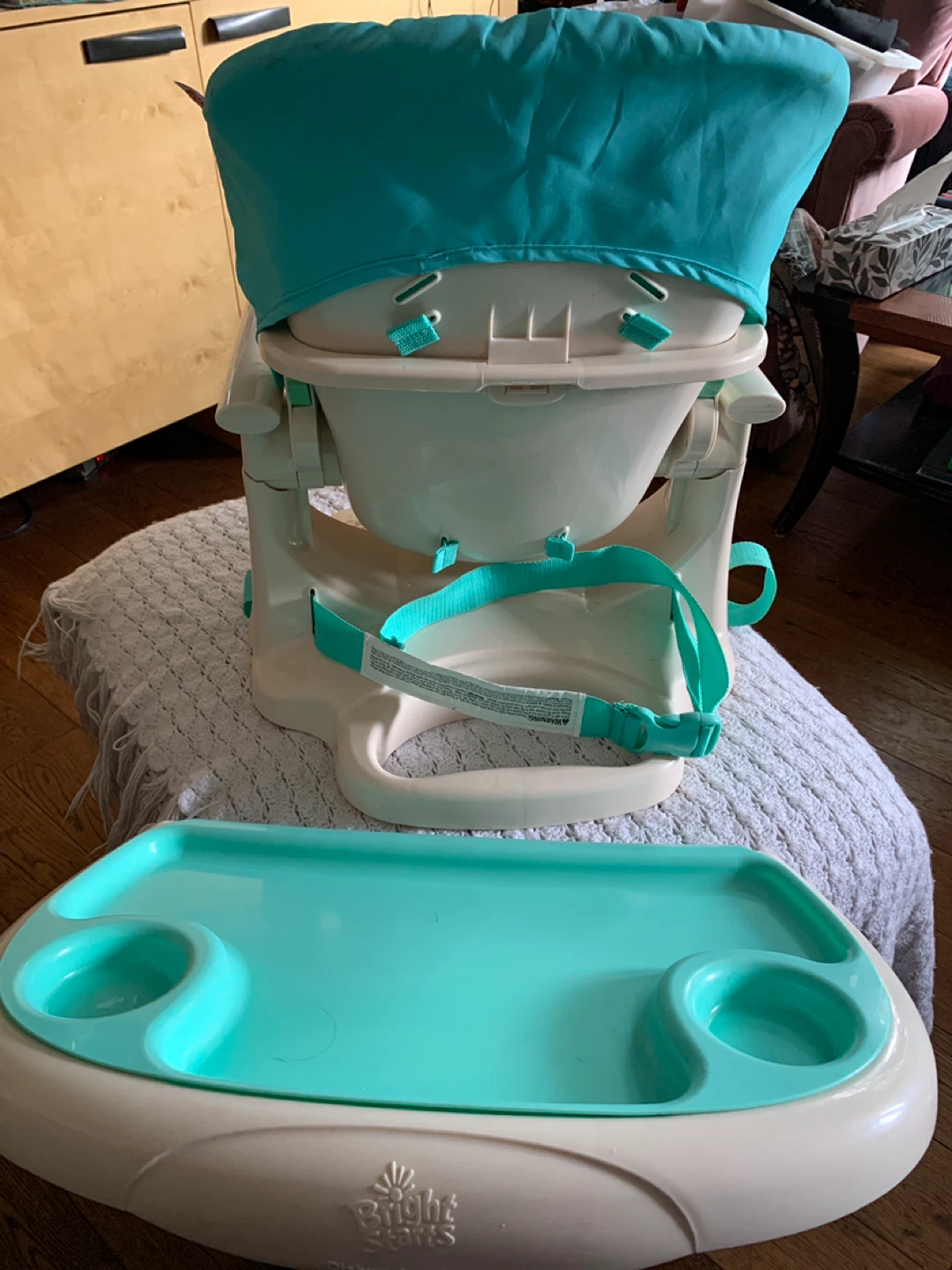 Bright Starts Booster Seat - photo 4
