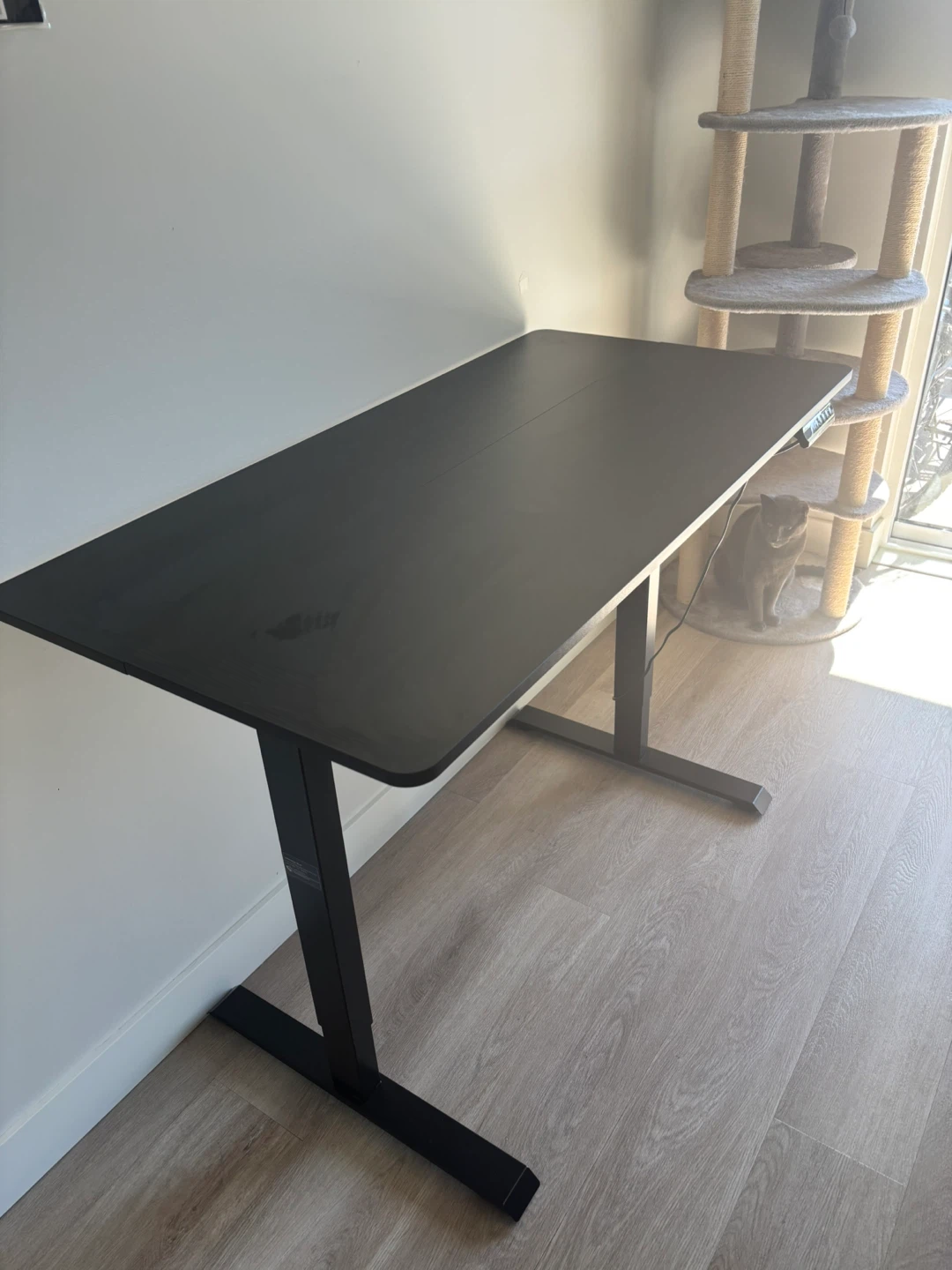 48 Inch Black Standing Desk with Electric Lift - photo 2