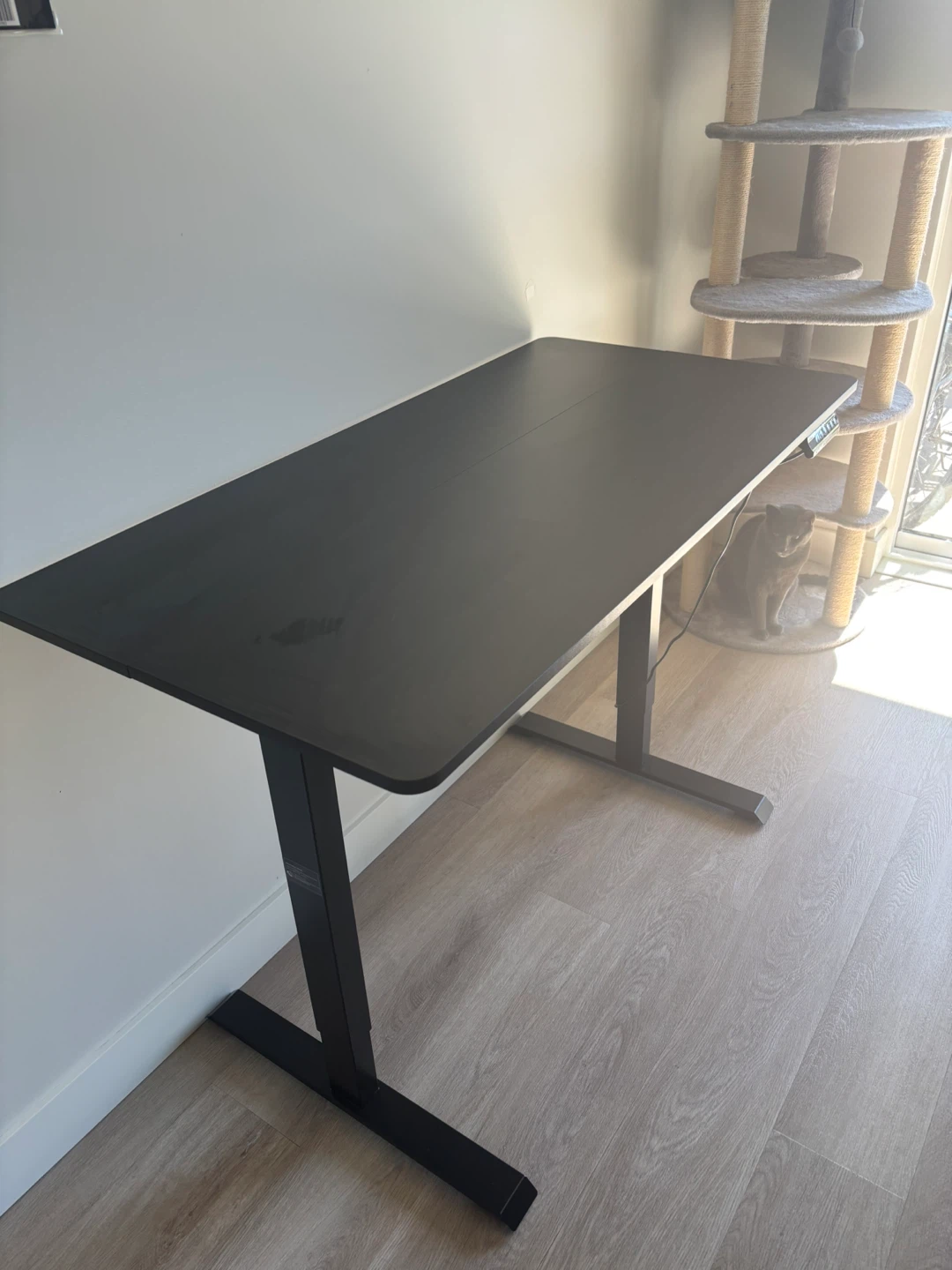 48 Inch Black Standing Desk with Electric Lift