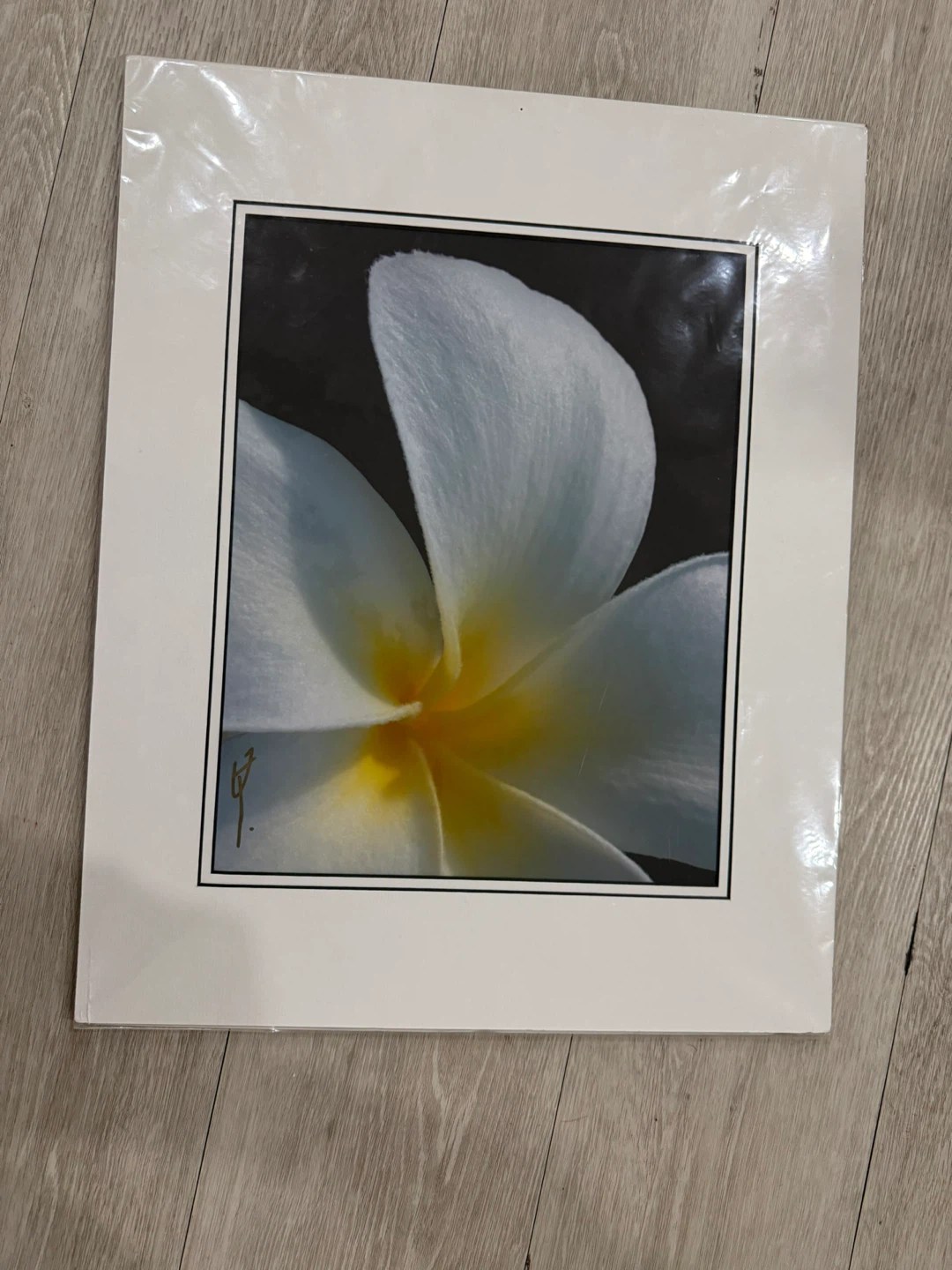 William P. Dierßen Photography Print