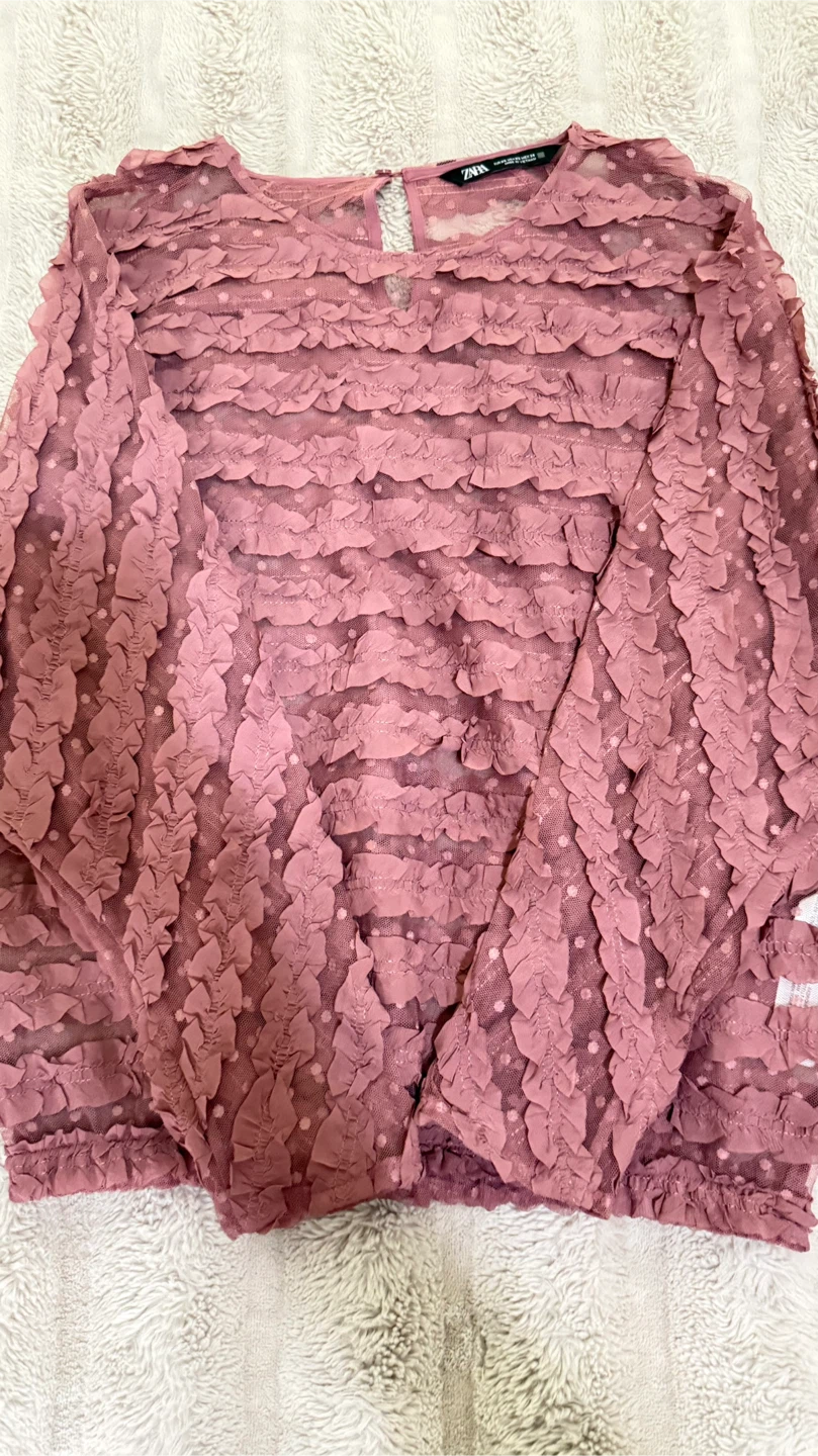 ZARA Women's Rose Ruffled Mesh Top