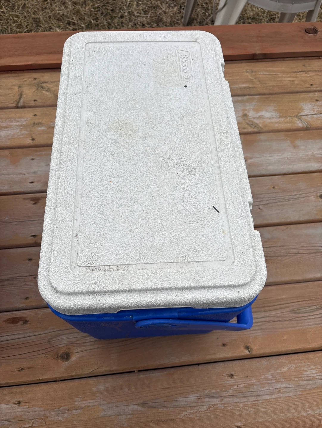 Coleman Cooler