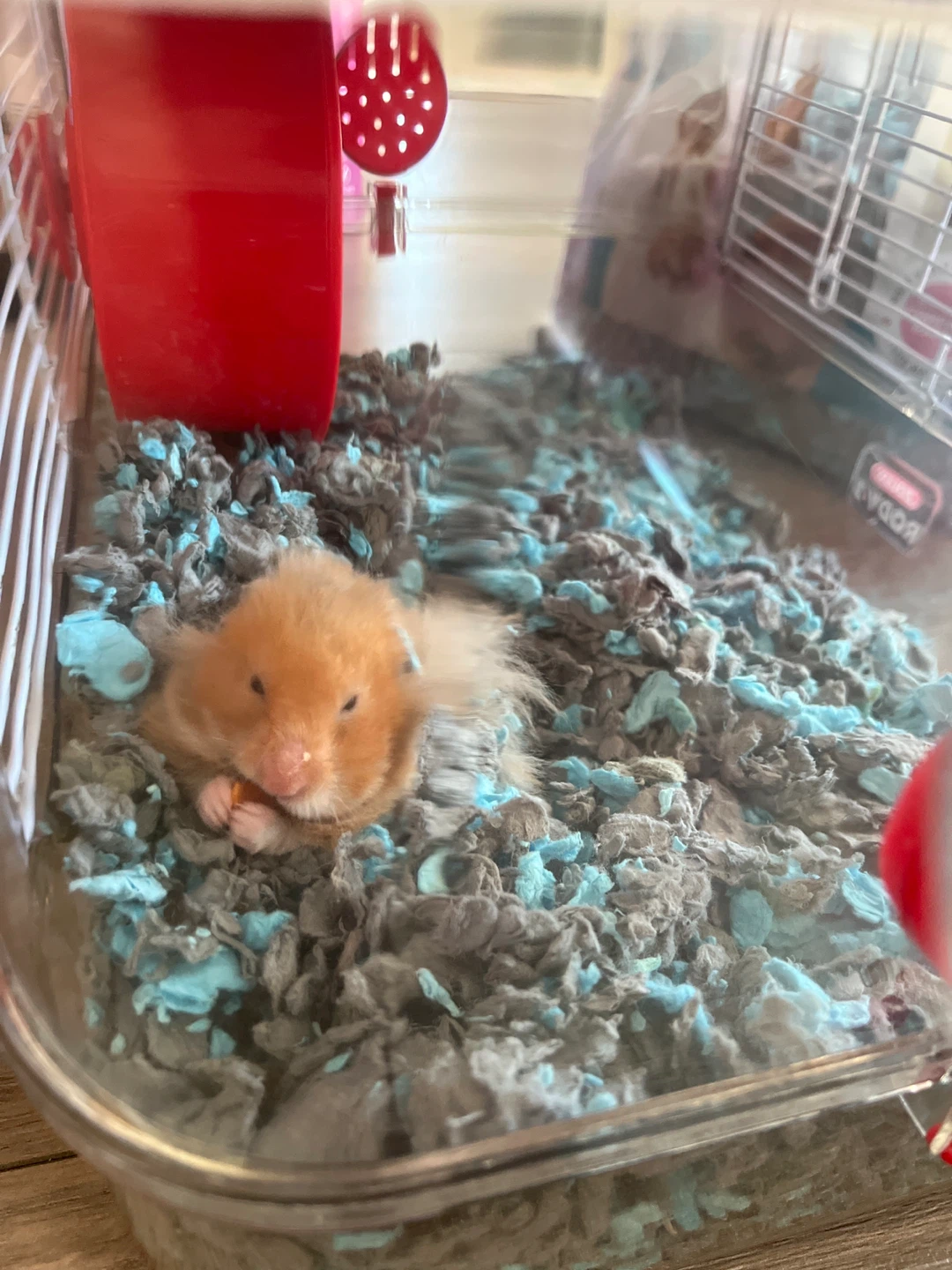 Zolux Rody 3 Hamster Cage - photo 4