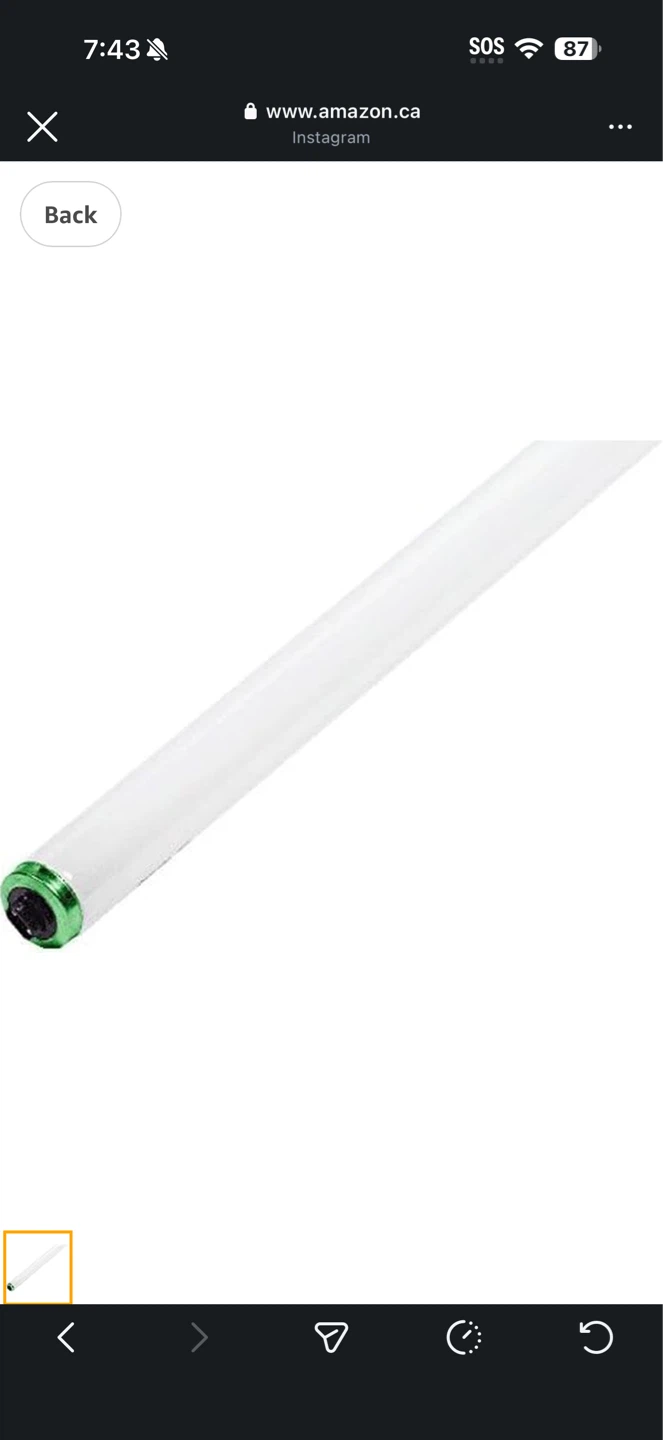 Philips 248401 Fluorescent 60W T12 48" Cool White Ho (4100K)