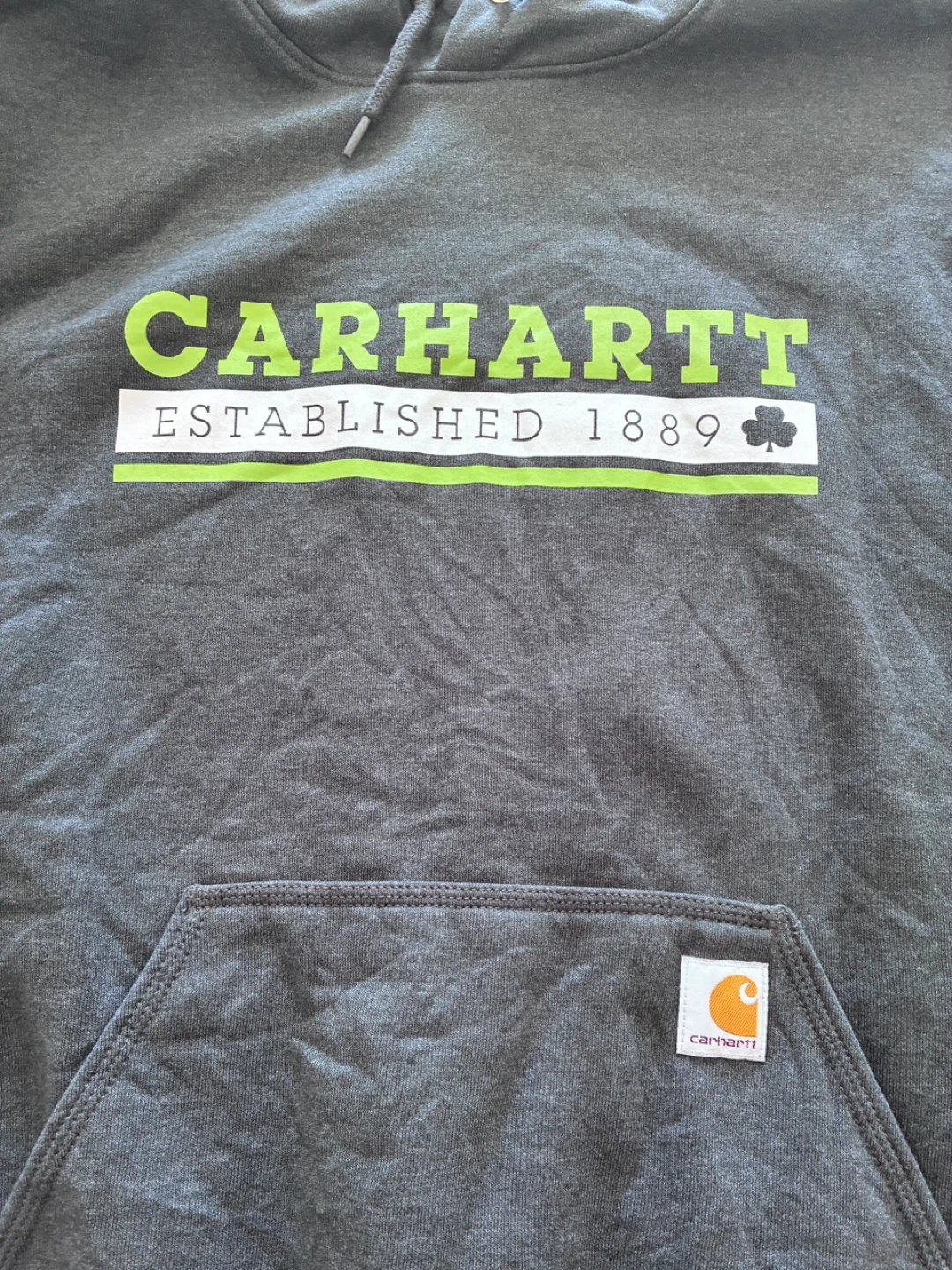 Carhartt Loose Fit Hoodie - photo 4