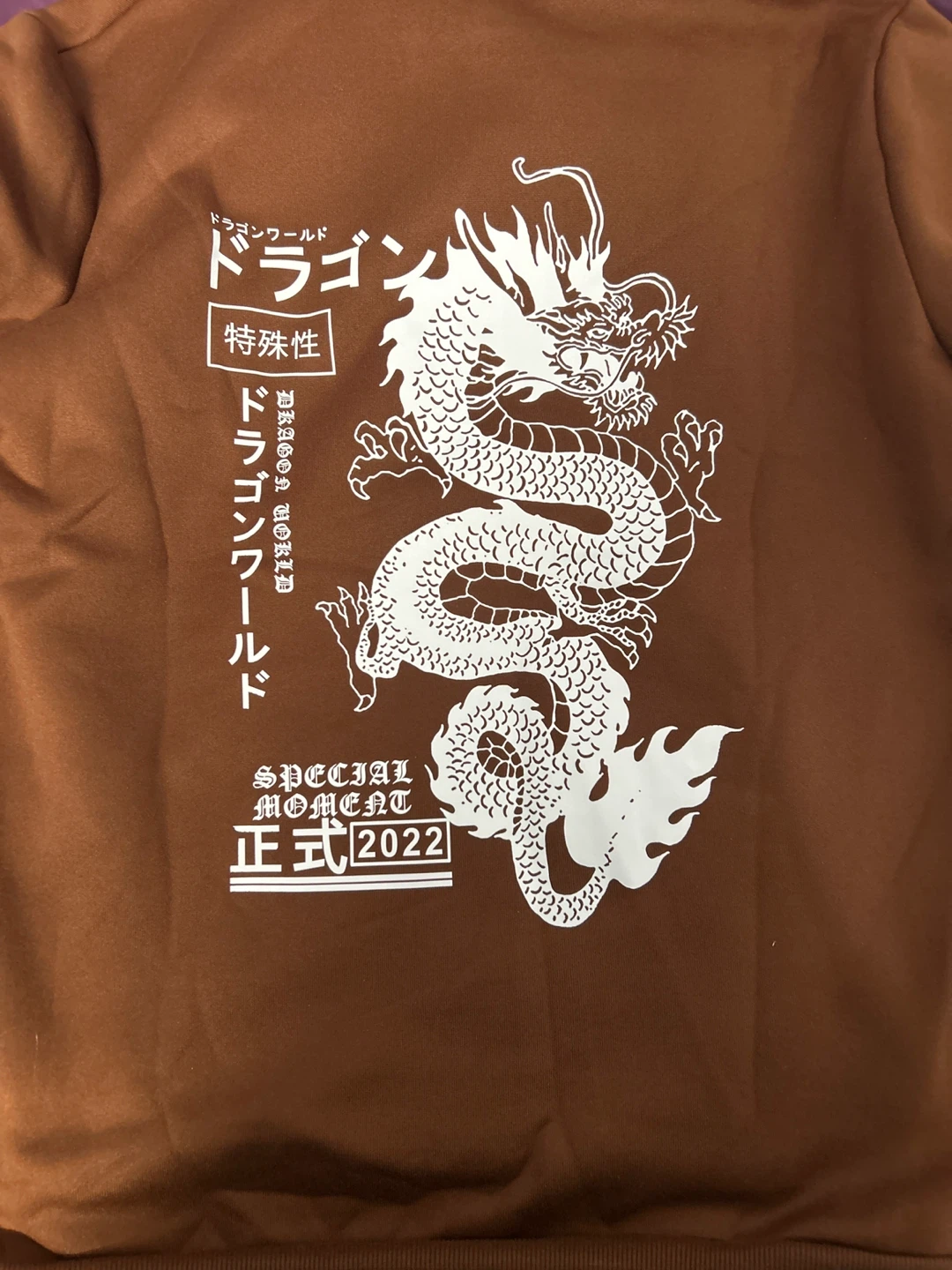 Brown Dragon World Hoodie - photo 3