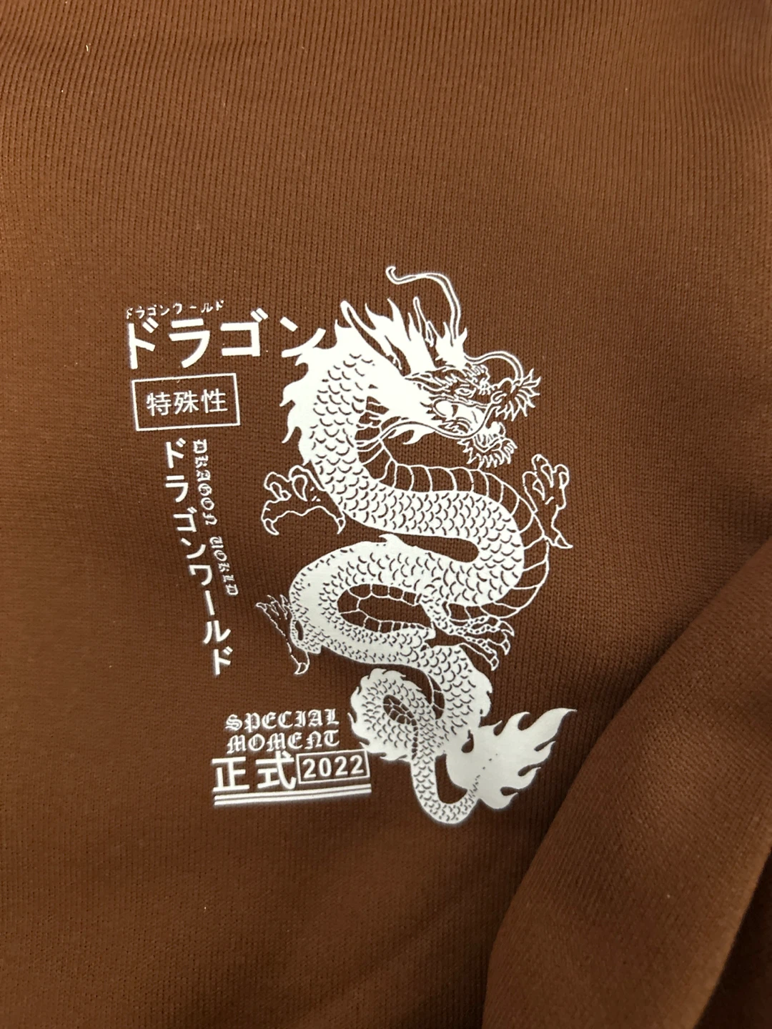 Brown Dragon World Hoodie - photo 2