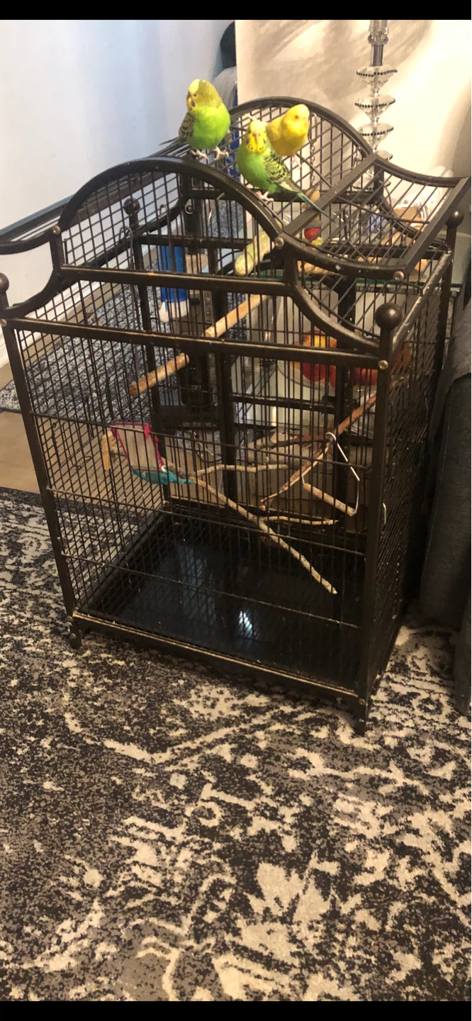Ornate Bird Cage - photo 2