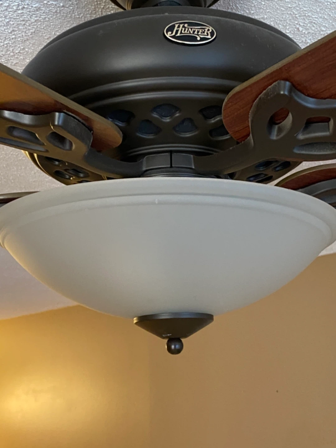 Hunter Ceiling Fan with Light - photo 4