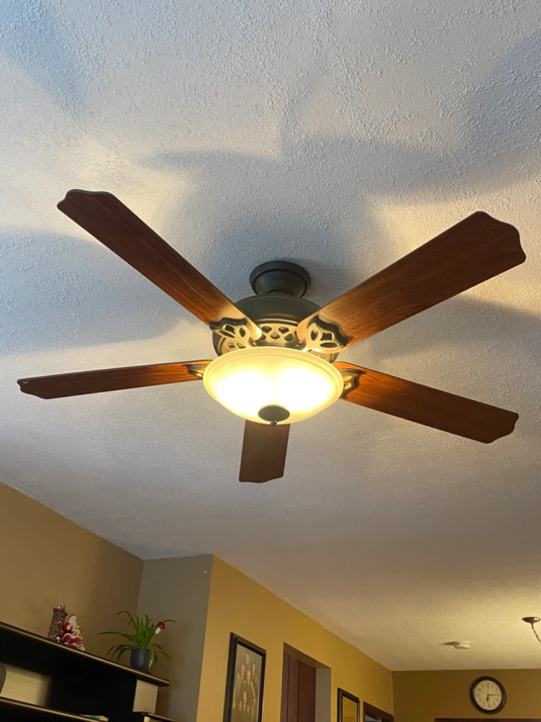 Hunter Ceiling Fan with Light - photo 2