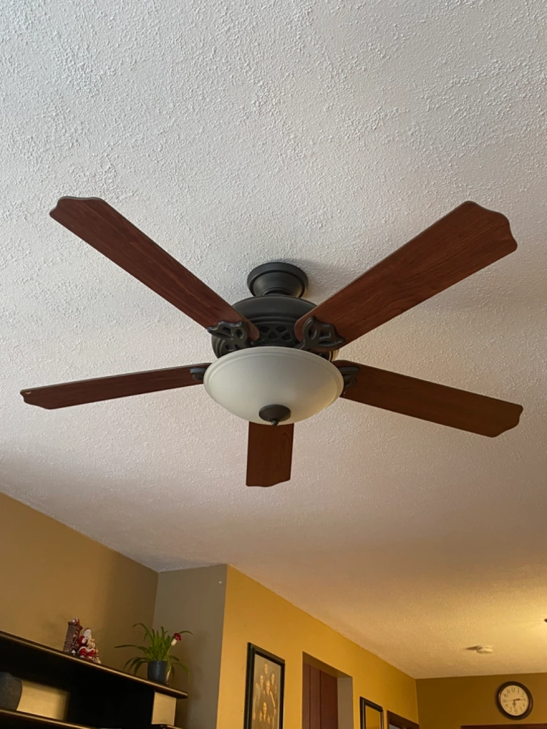 Hunter Ceiling Fan with Light