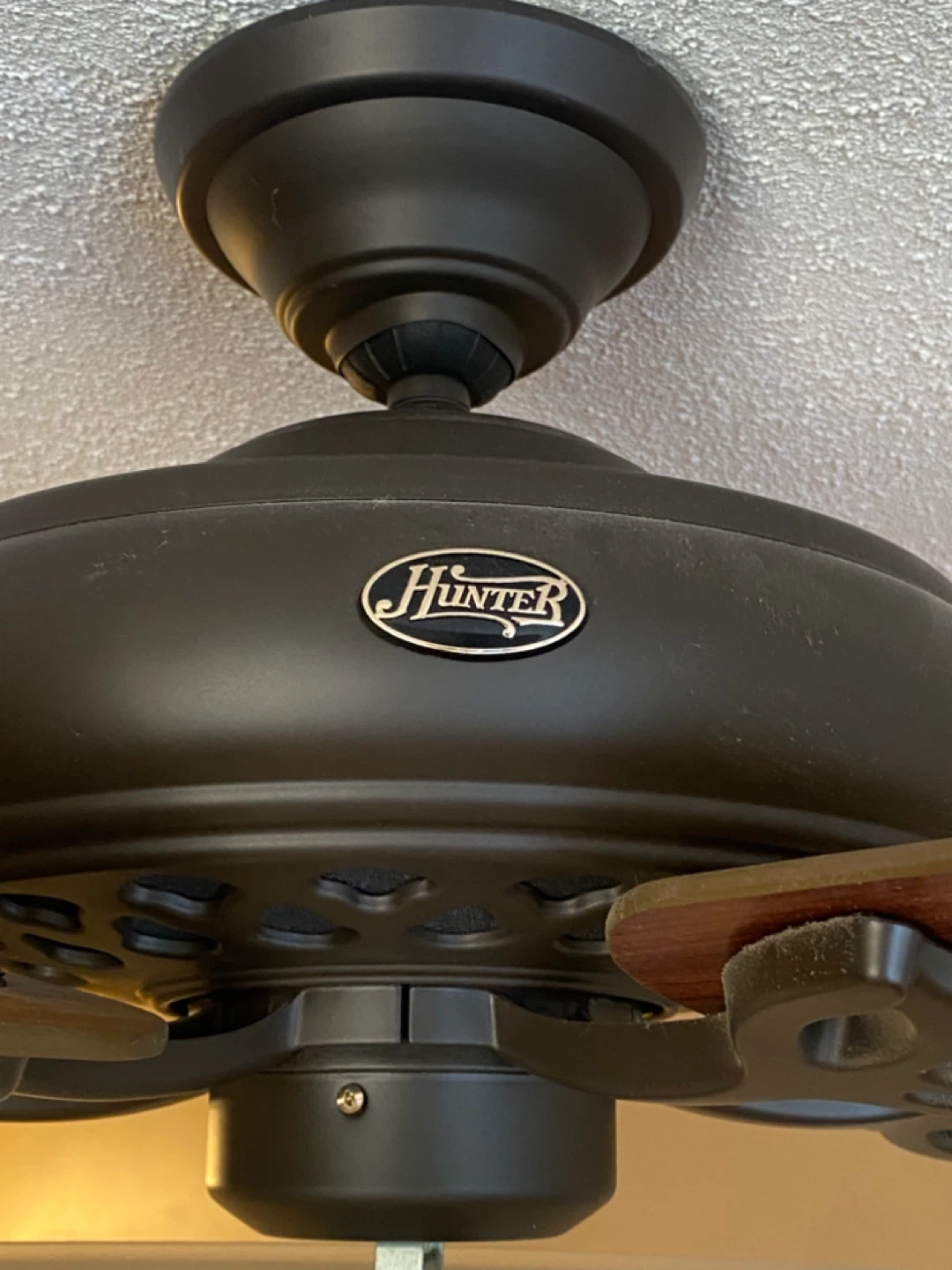 Hunter Ceiling Fan with Light - photo 3