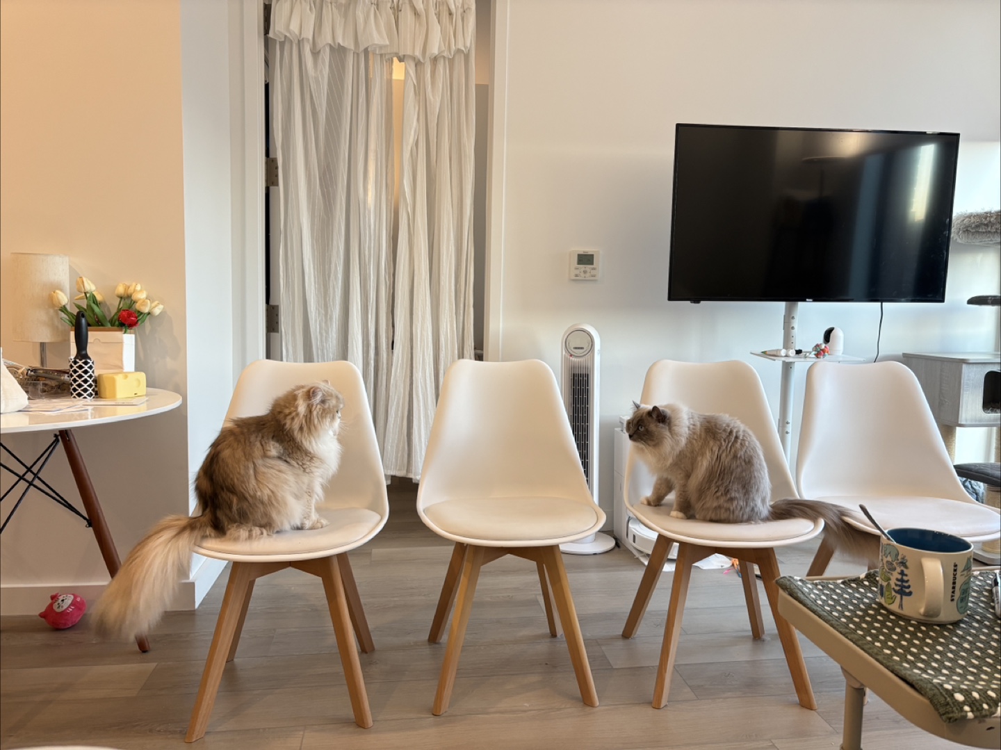 White Dining Chairs with Wood Legs (Set of 4)