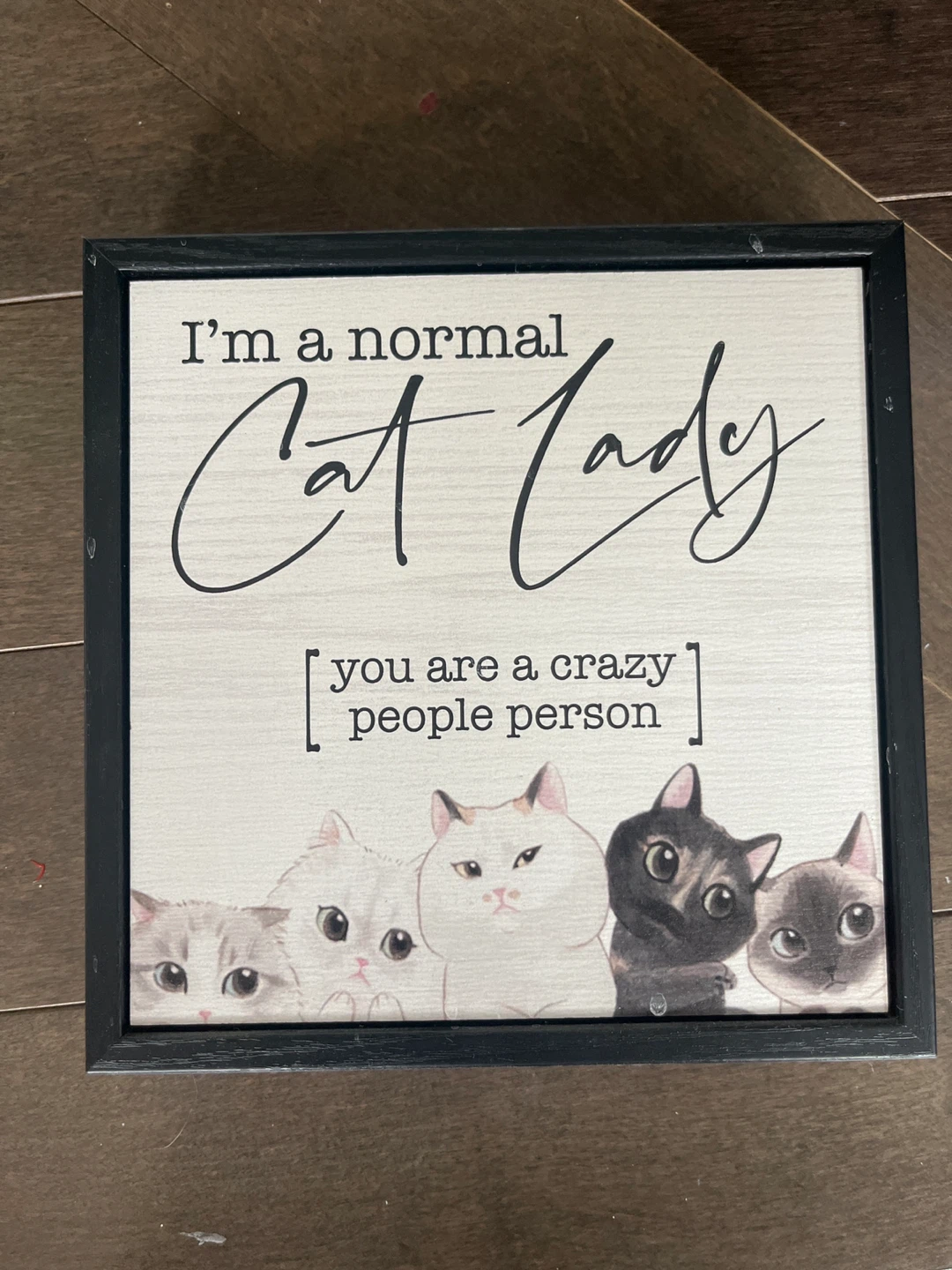 Cat Lady Wall Art