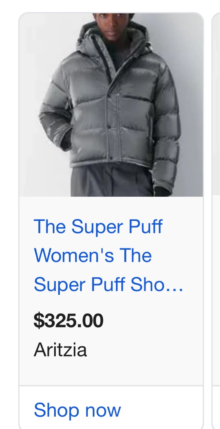 Aritzia The Super Puff Shorty Puffer Jacket - Silver - Size M