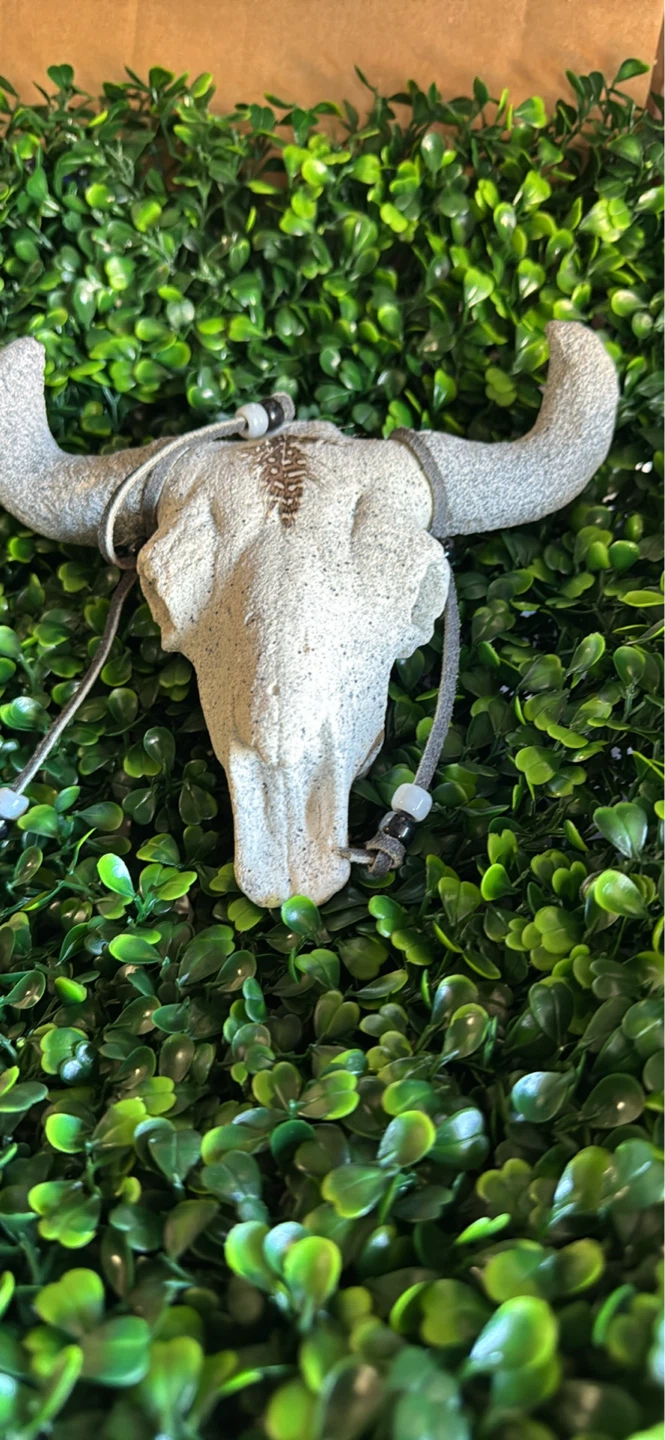 Cow Skull Wall Decor