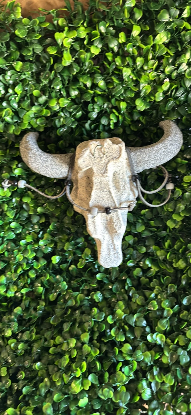 Cow Skull Wall Decor - photo 3